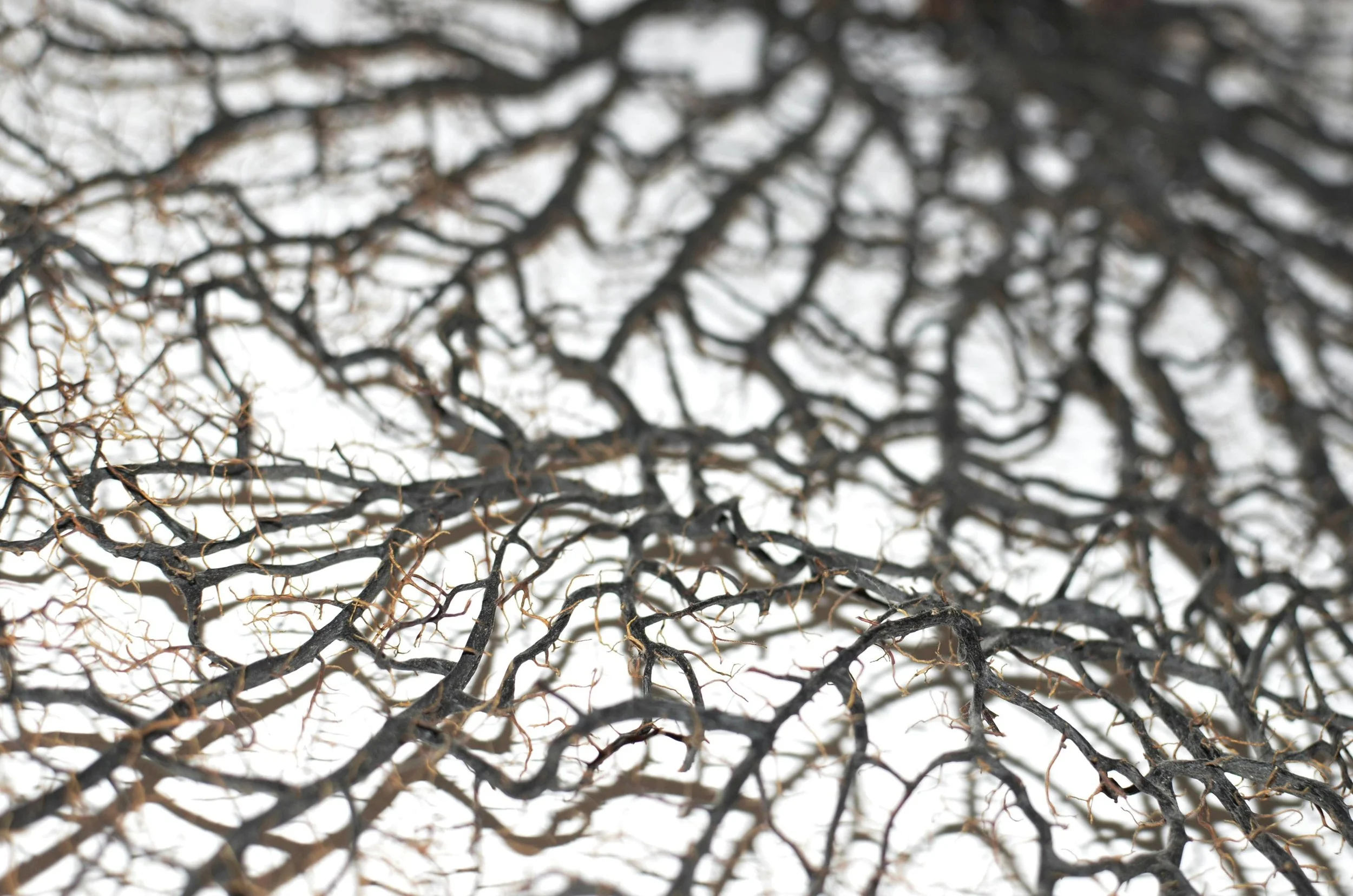 Grounding Is a Movement 