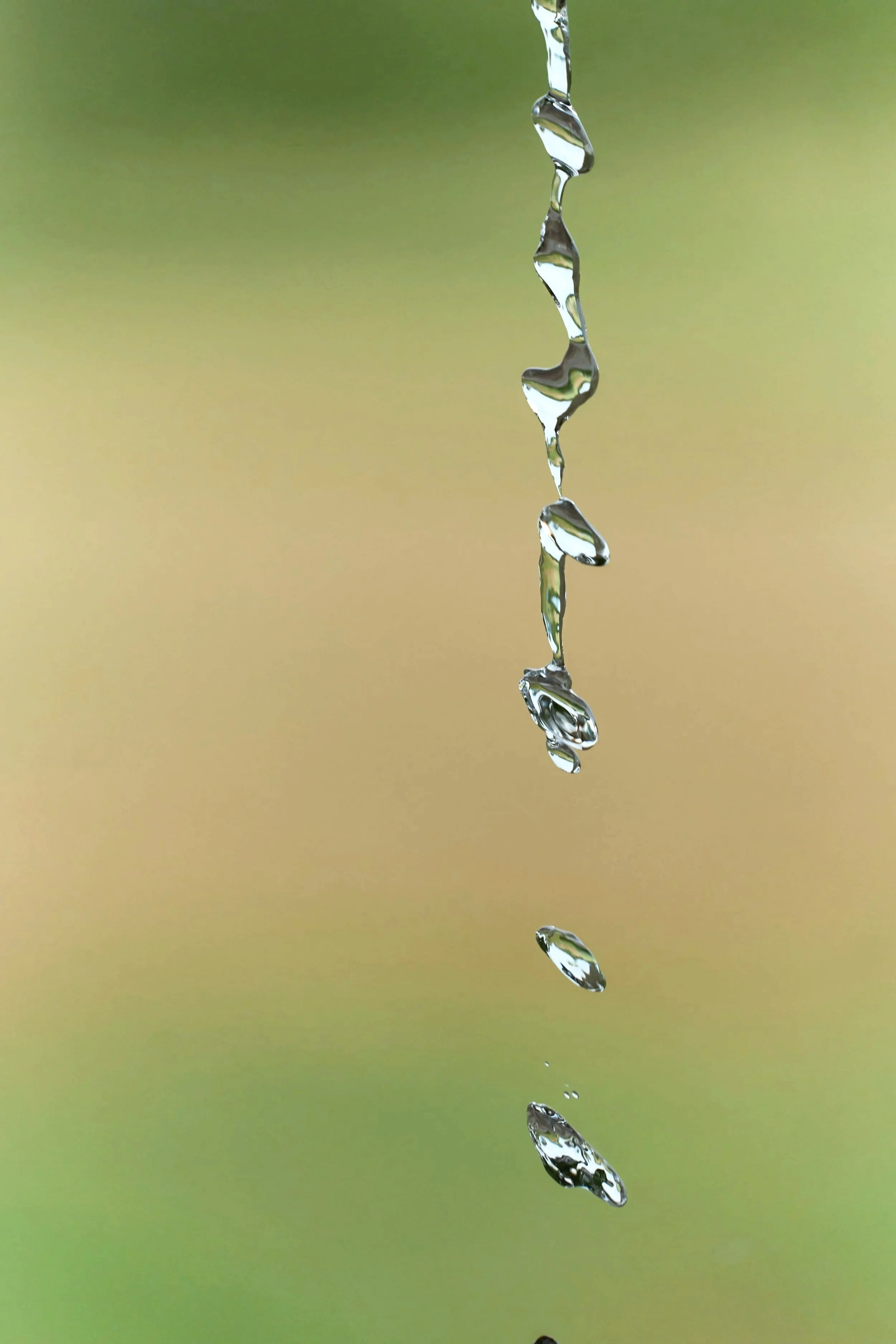 The Body Is Not Holding Trauma — It Is Holding Time