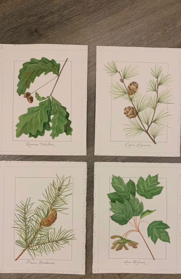 Screen Shot 2026-01-13 at 10.53.28 AM.png