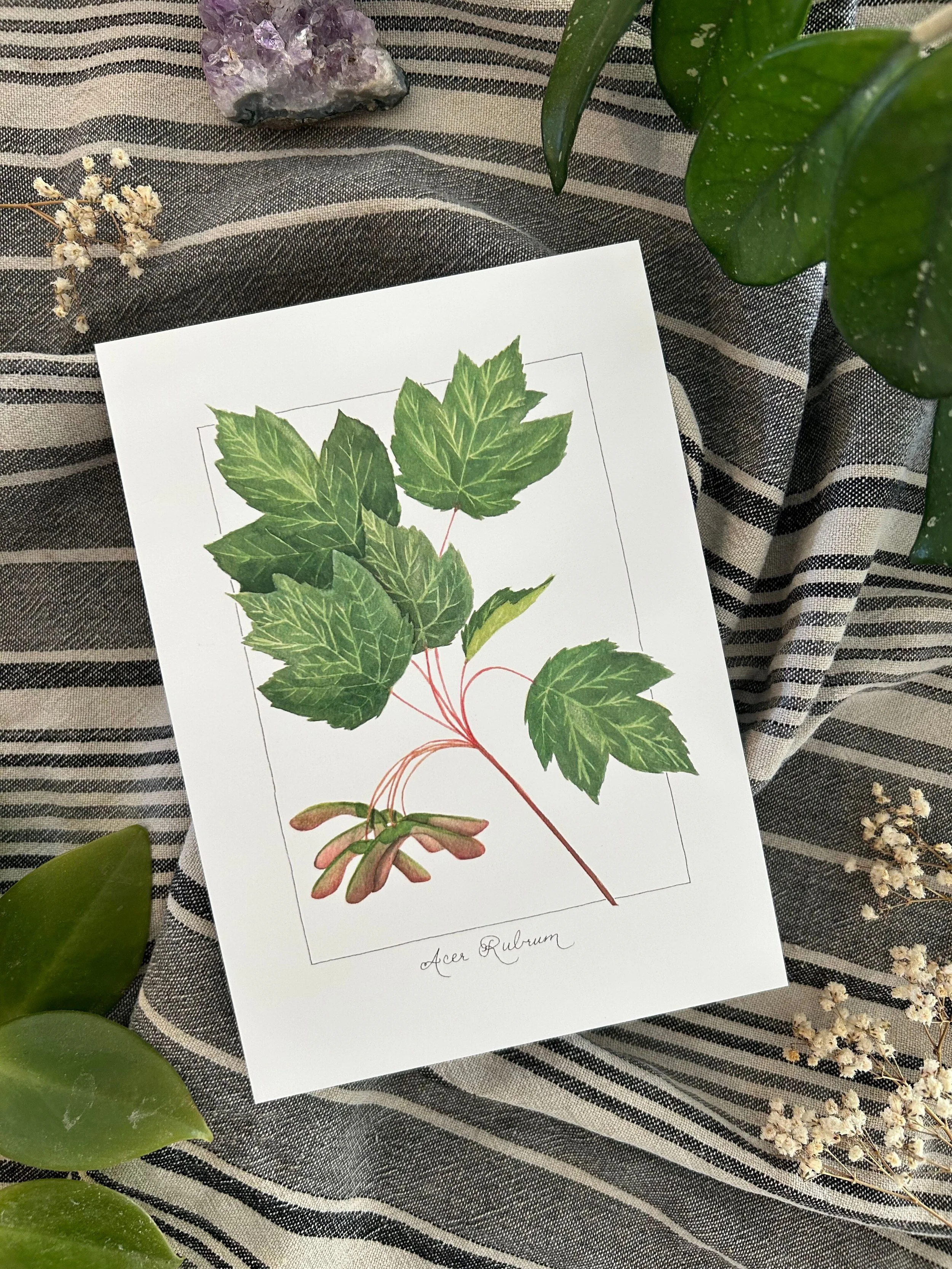 Crafting with Care: My Sustainability Initiatives