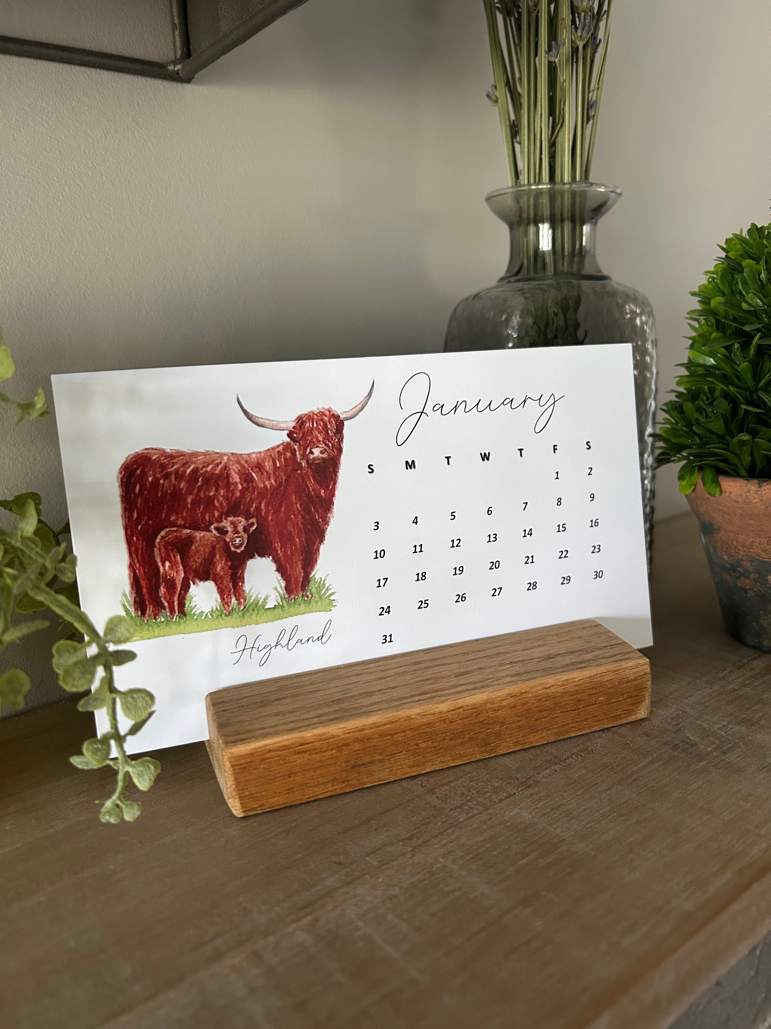 cow calendar January.jpeg