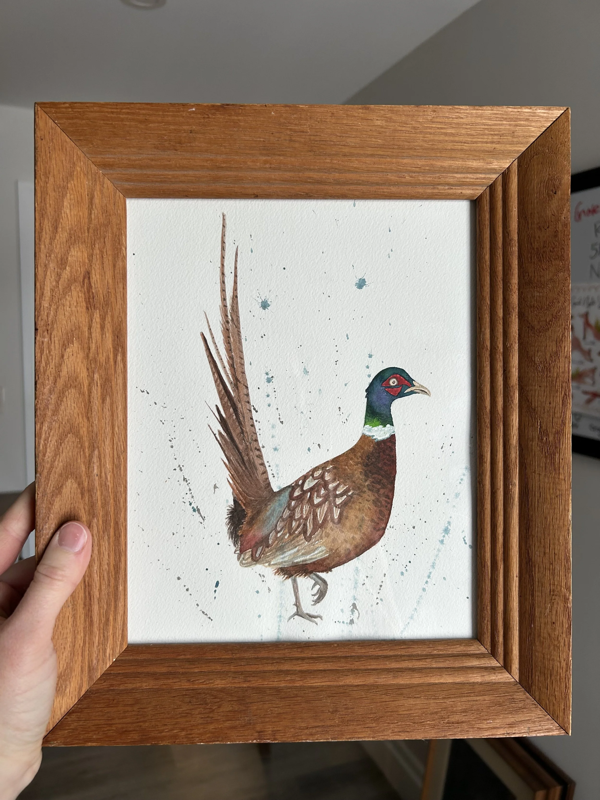 Pleasant Pheasant