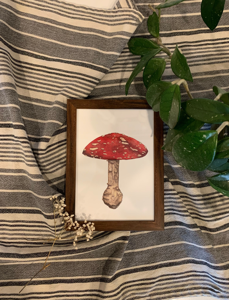Mushroom Art Print