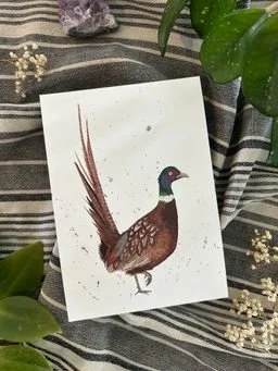 Pheasant Art Print