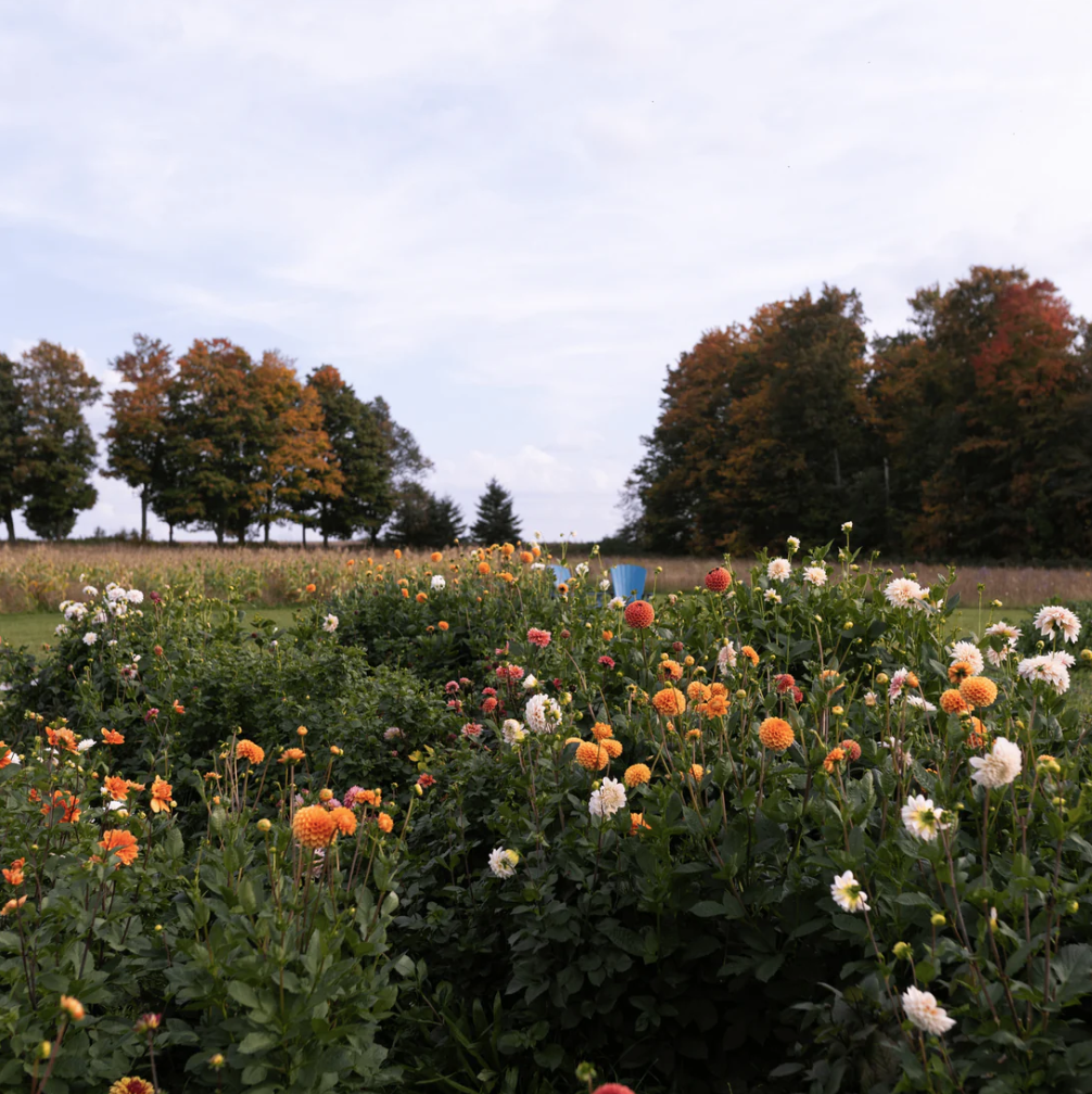 Screen Shot 2026-01-27 at 2.11.10 PM.png