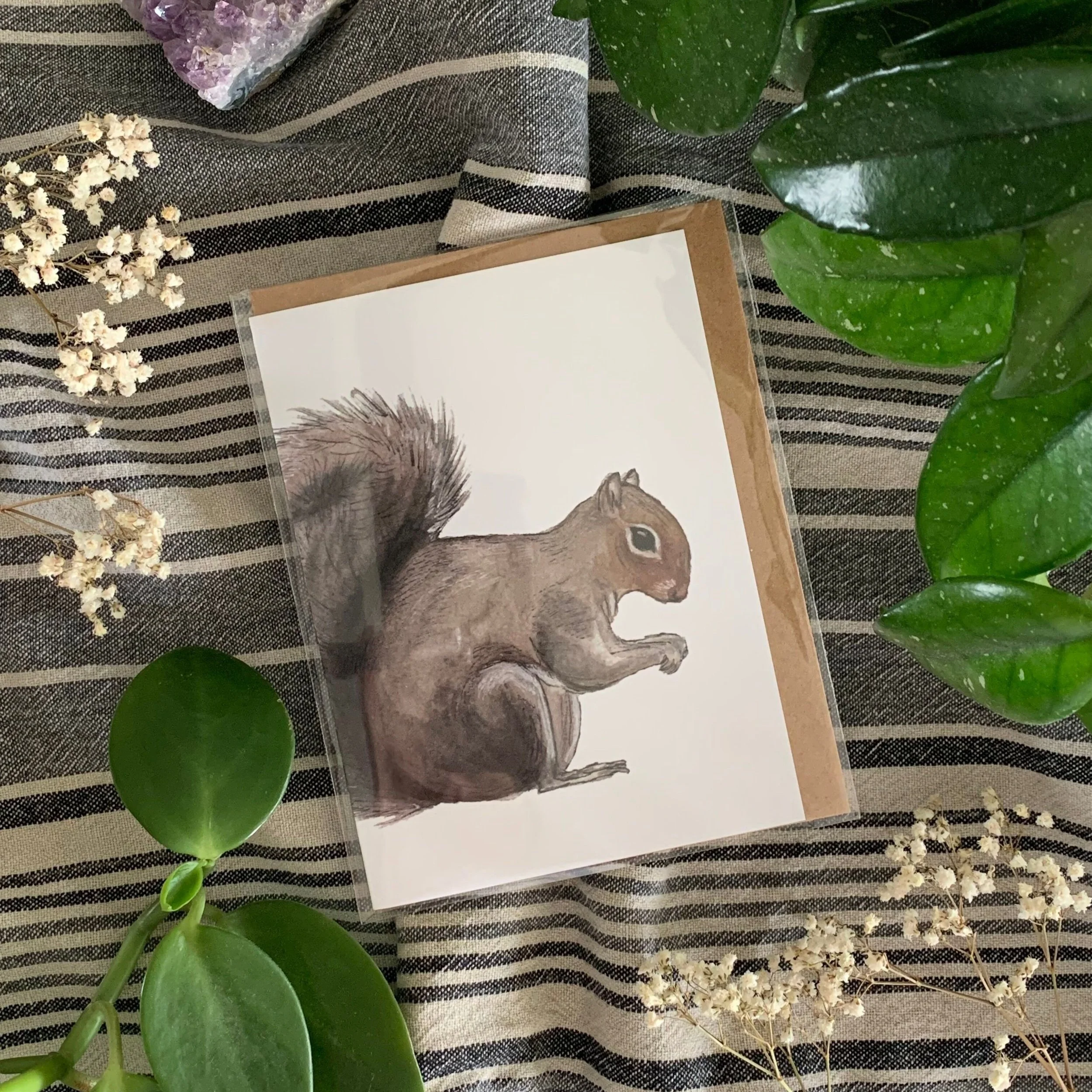 squirrel+card.jpg
