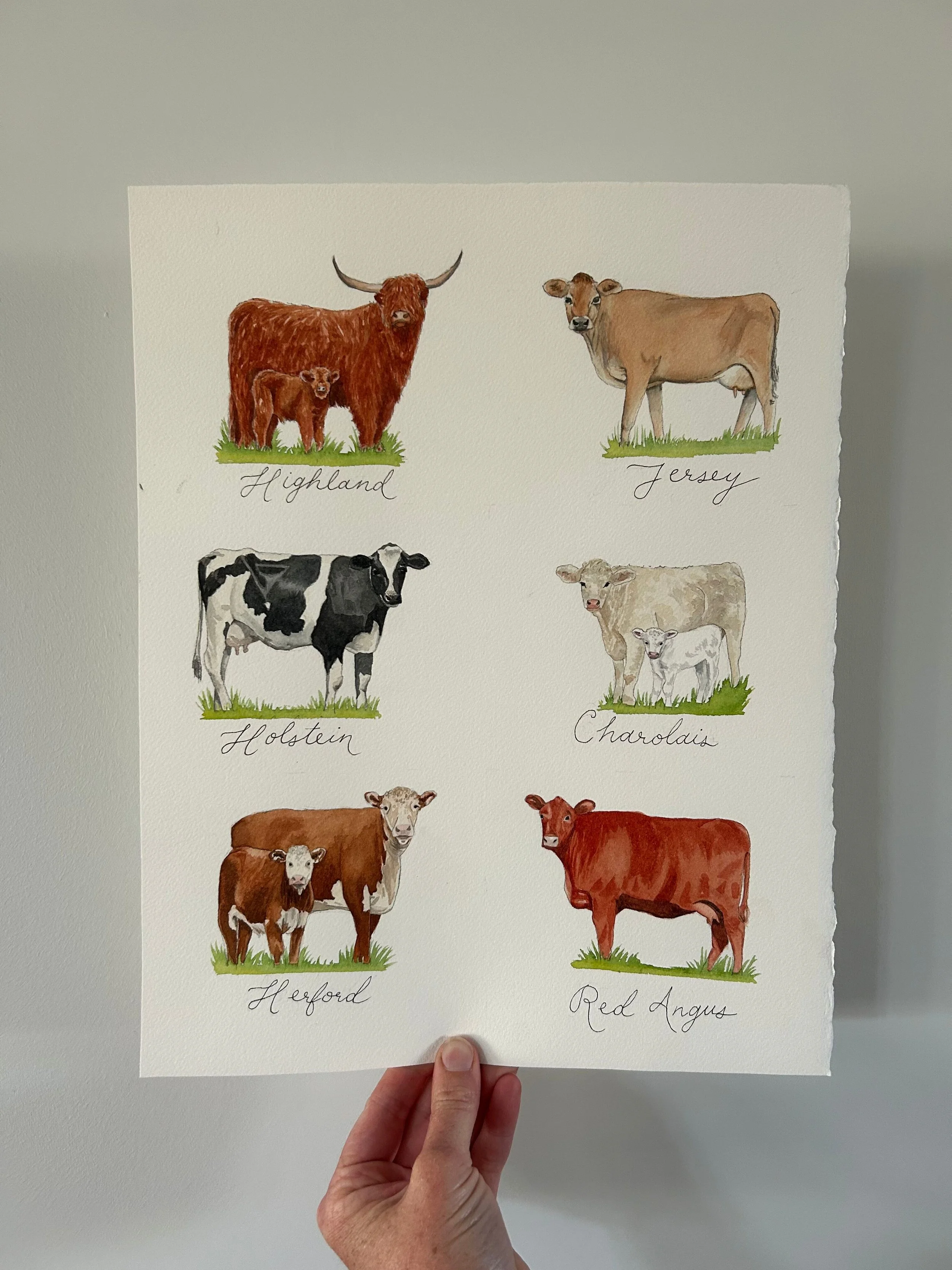 2027 Desk Calendar: Cows (preorder)