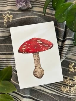 Mushroom Art Print