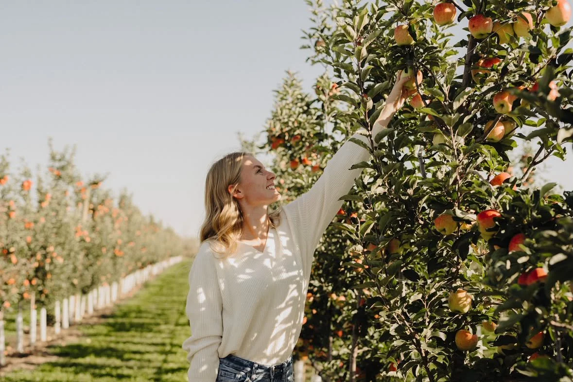 Painting in the Orchard