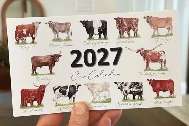 2027 Desk Calendar: Cows (preorder)