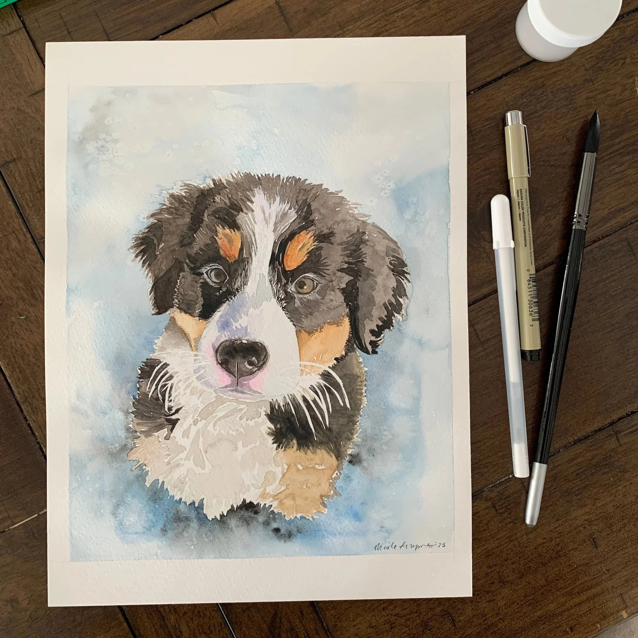 Pet Portrait Gallery