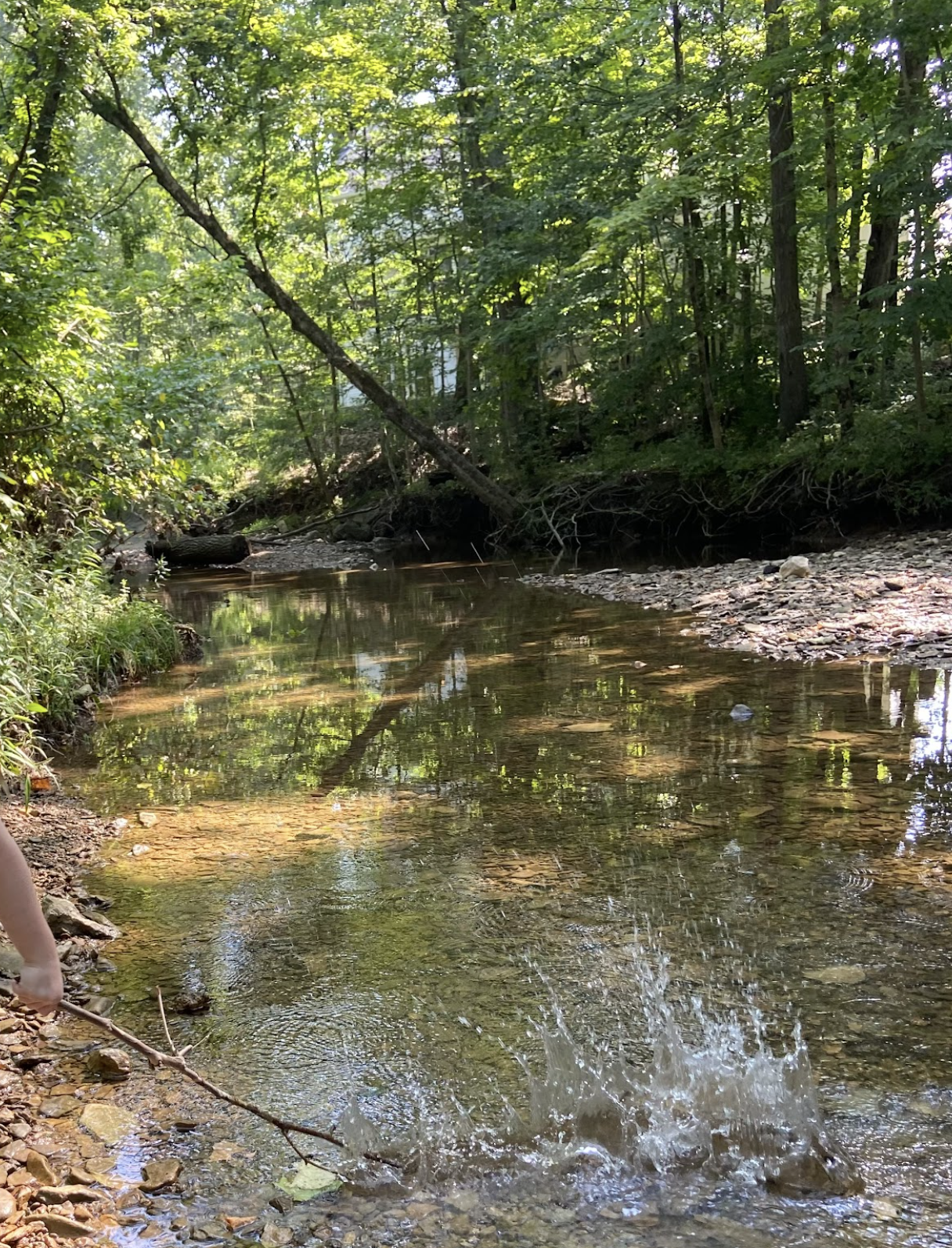 creek.png