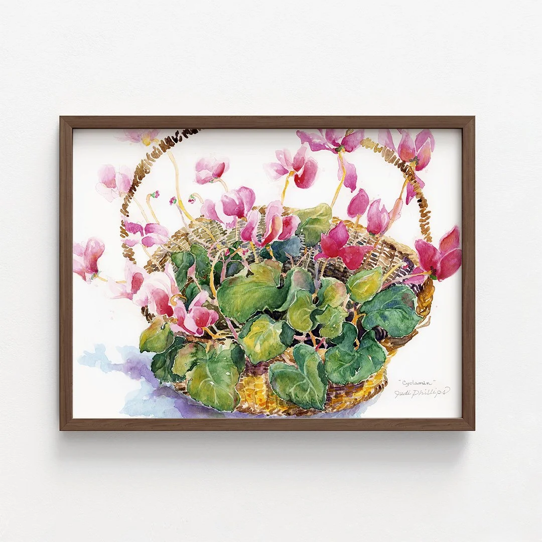 JPW-framed-cyclamen.jpg