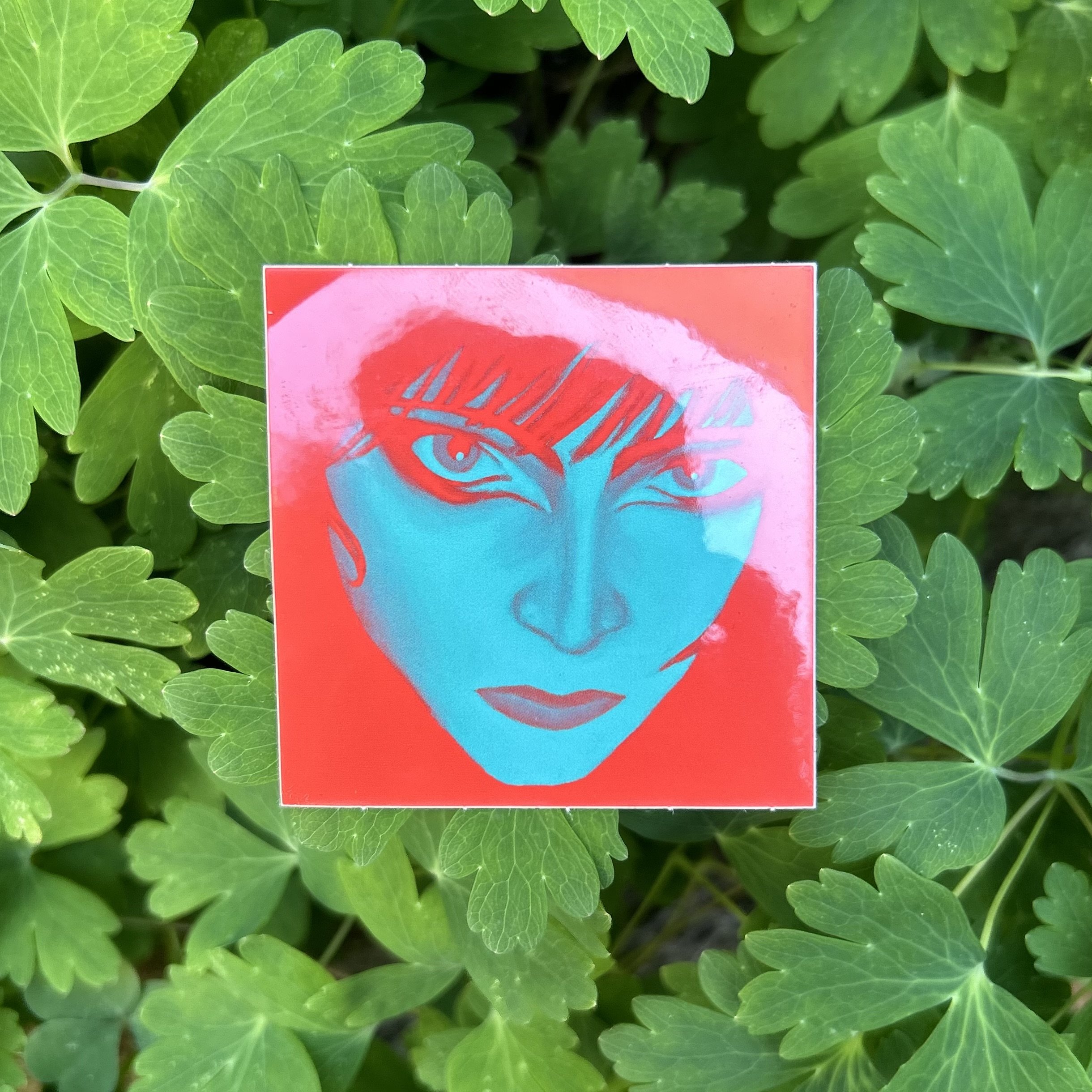 Stare Sticker