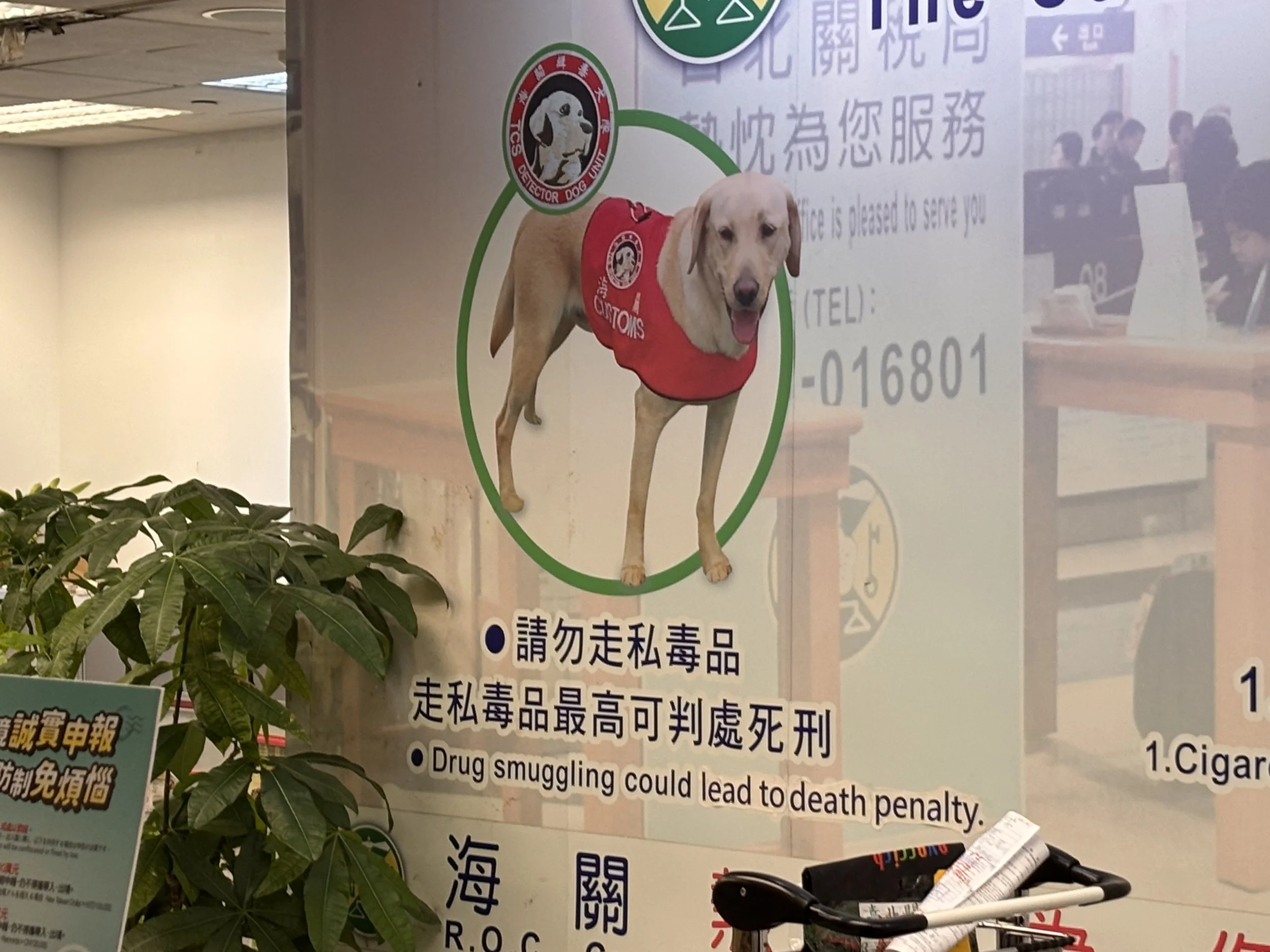 I bet the dog is the one that kills you
