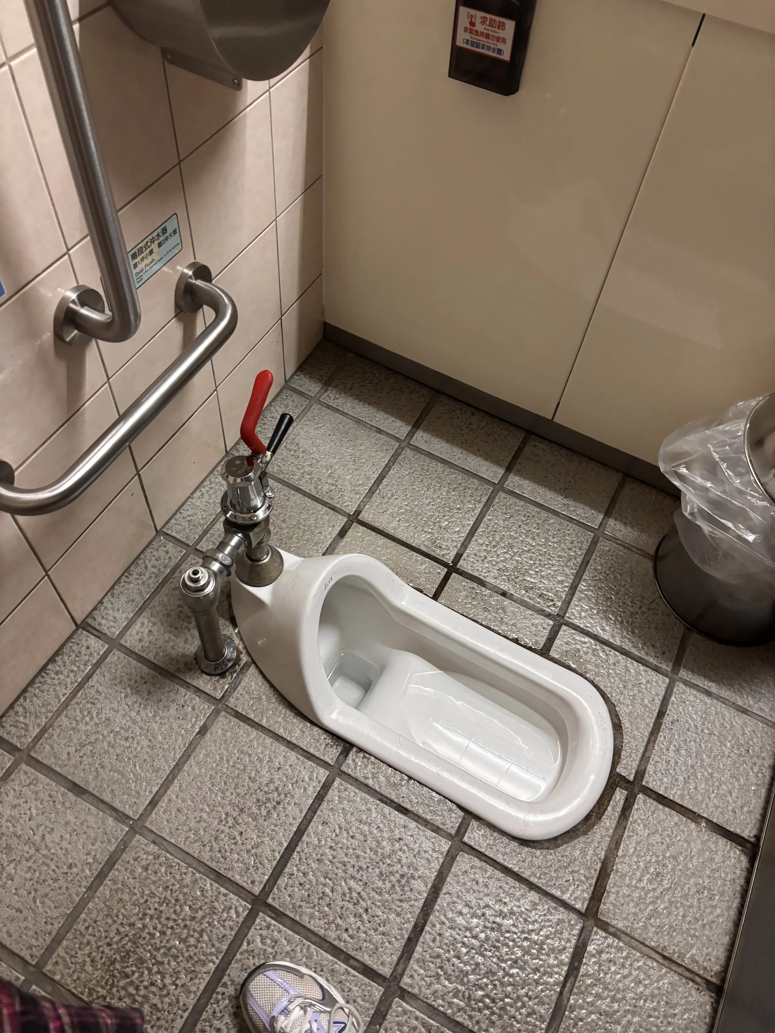 I used the squatty toilet