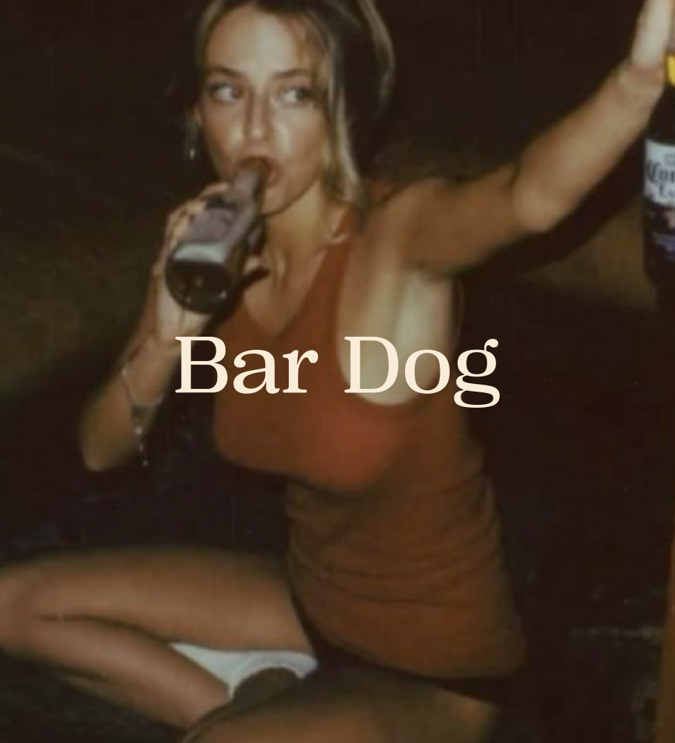 bar dog