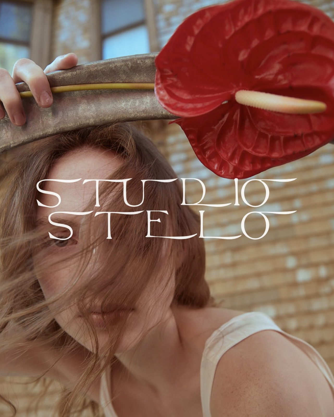 Studio Stelo