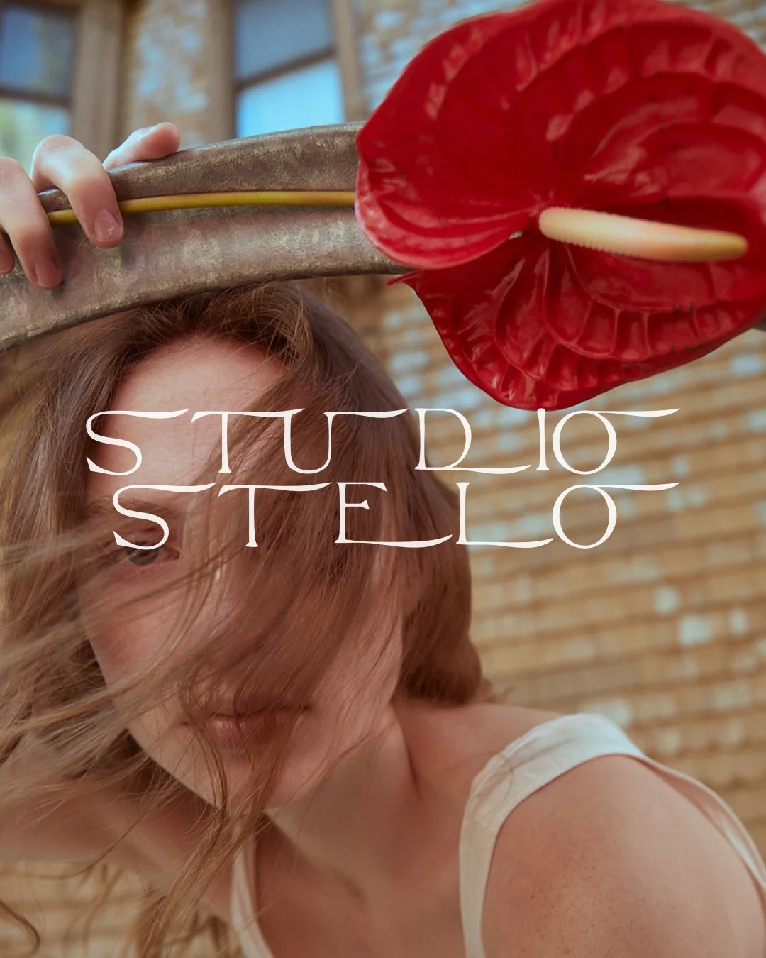 studio stelo