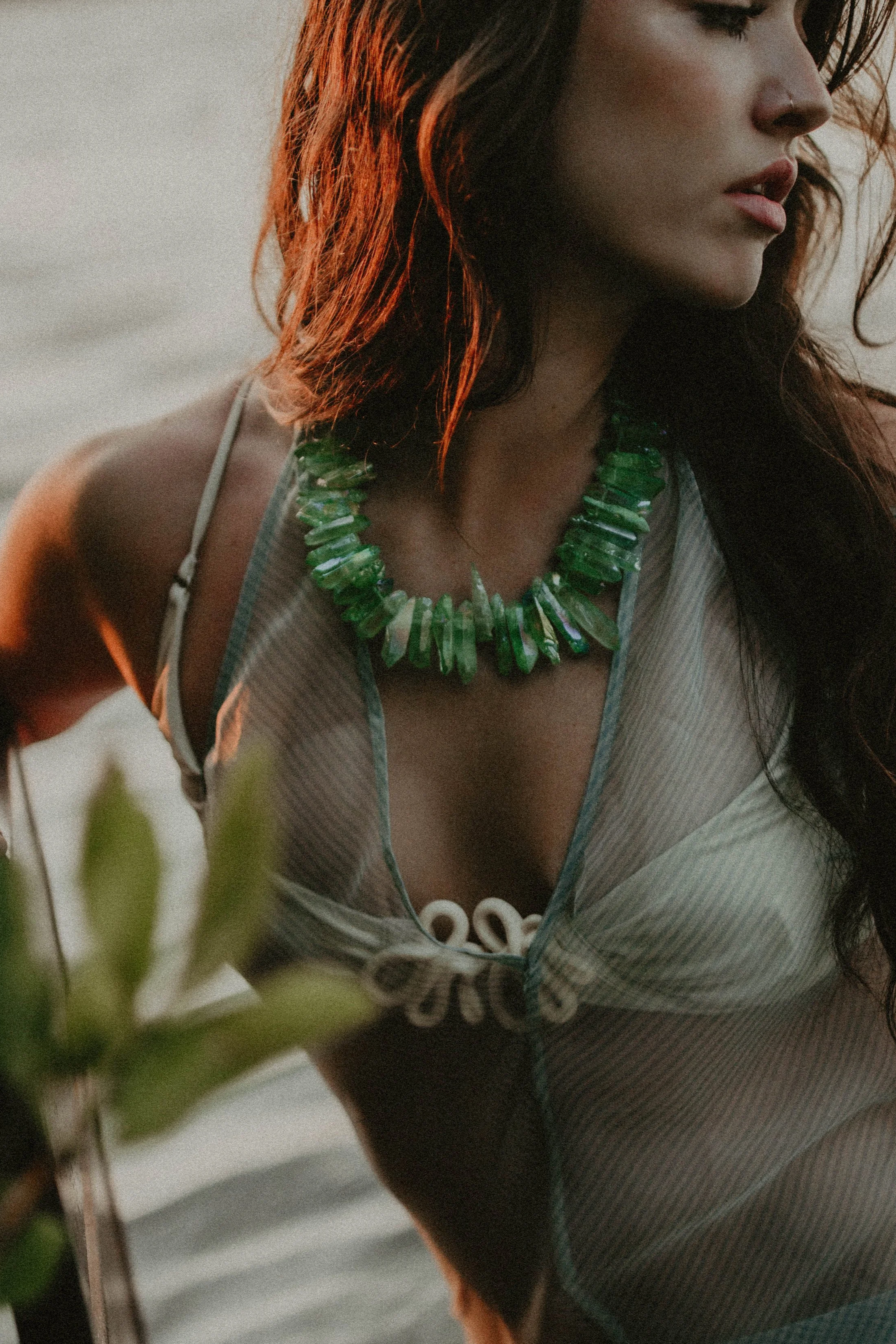 h o n o r e d   p a r t n e r s h i p s