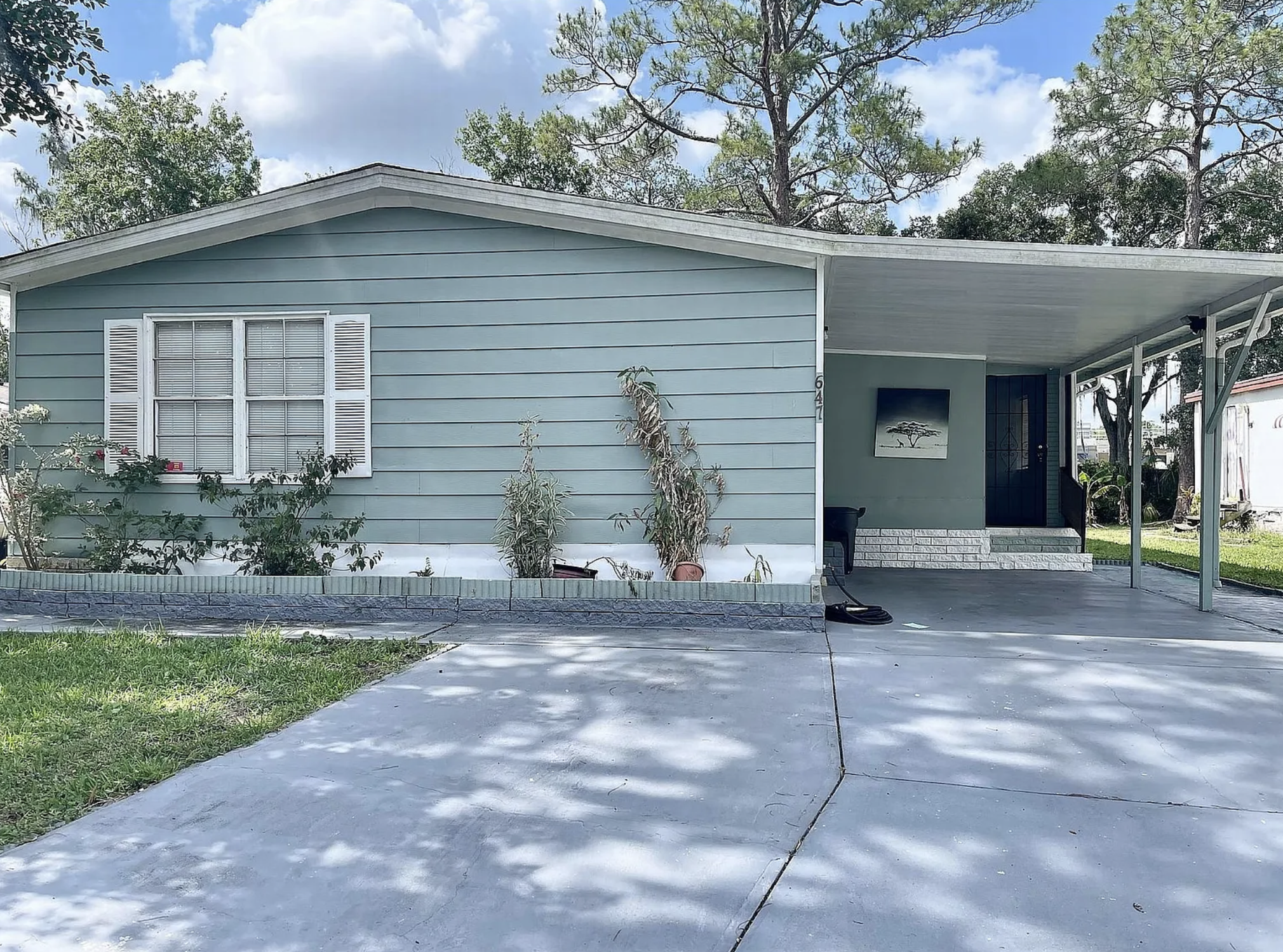 Front of a light blue, single-story house with white shutters, a small front yard with grass and a concrete driveway, and a covered porch area with steps leading up to the front door, surrounded by tall trees.