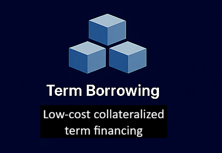 Term Borrowing