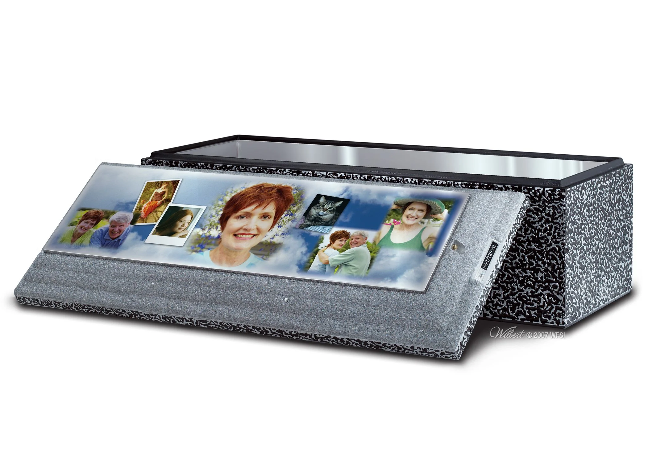 WLCS-BV-SST-NH-Redhead.jpg