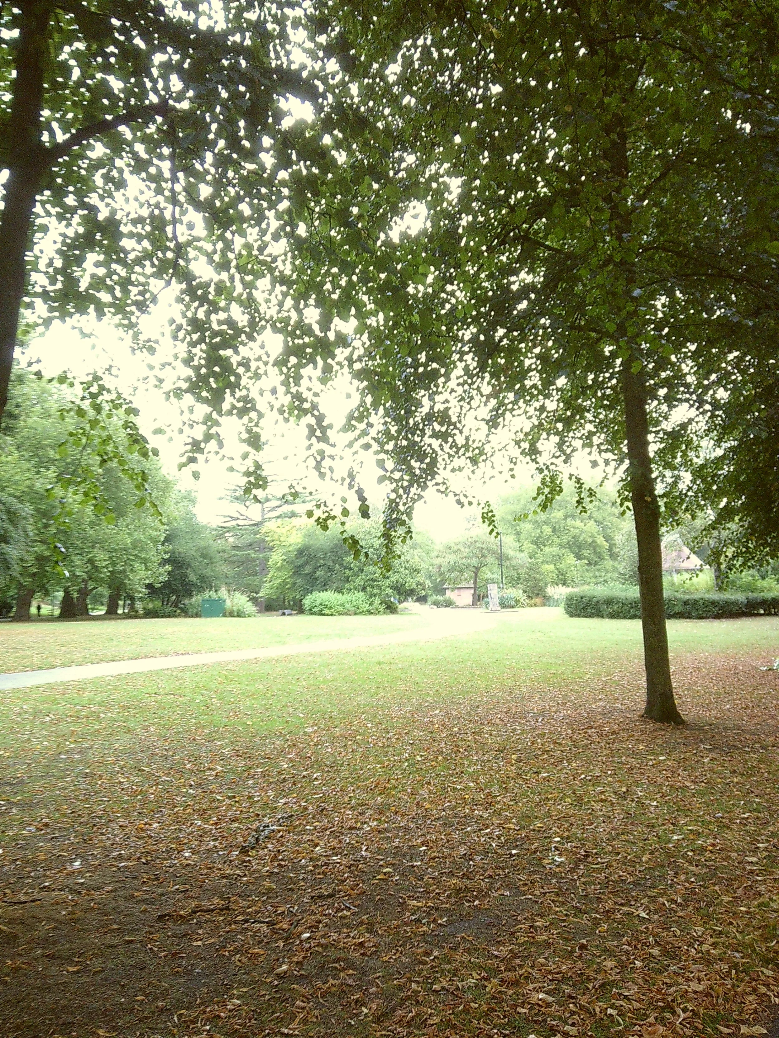 Third Part (2).JPG