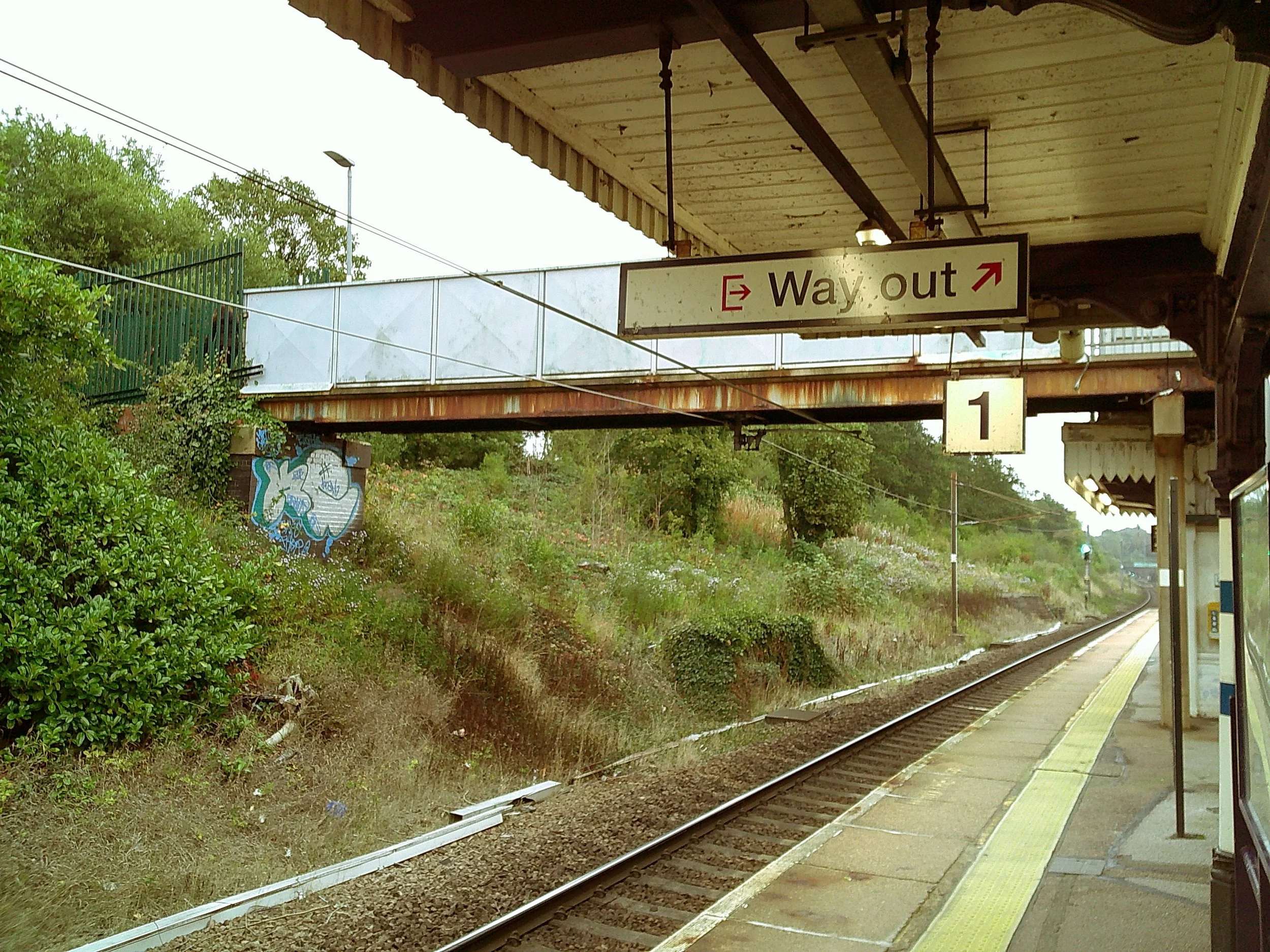 DSCF0010.JPG