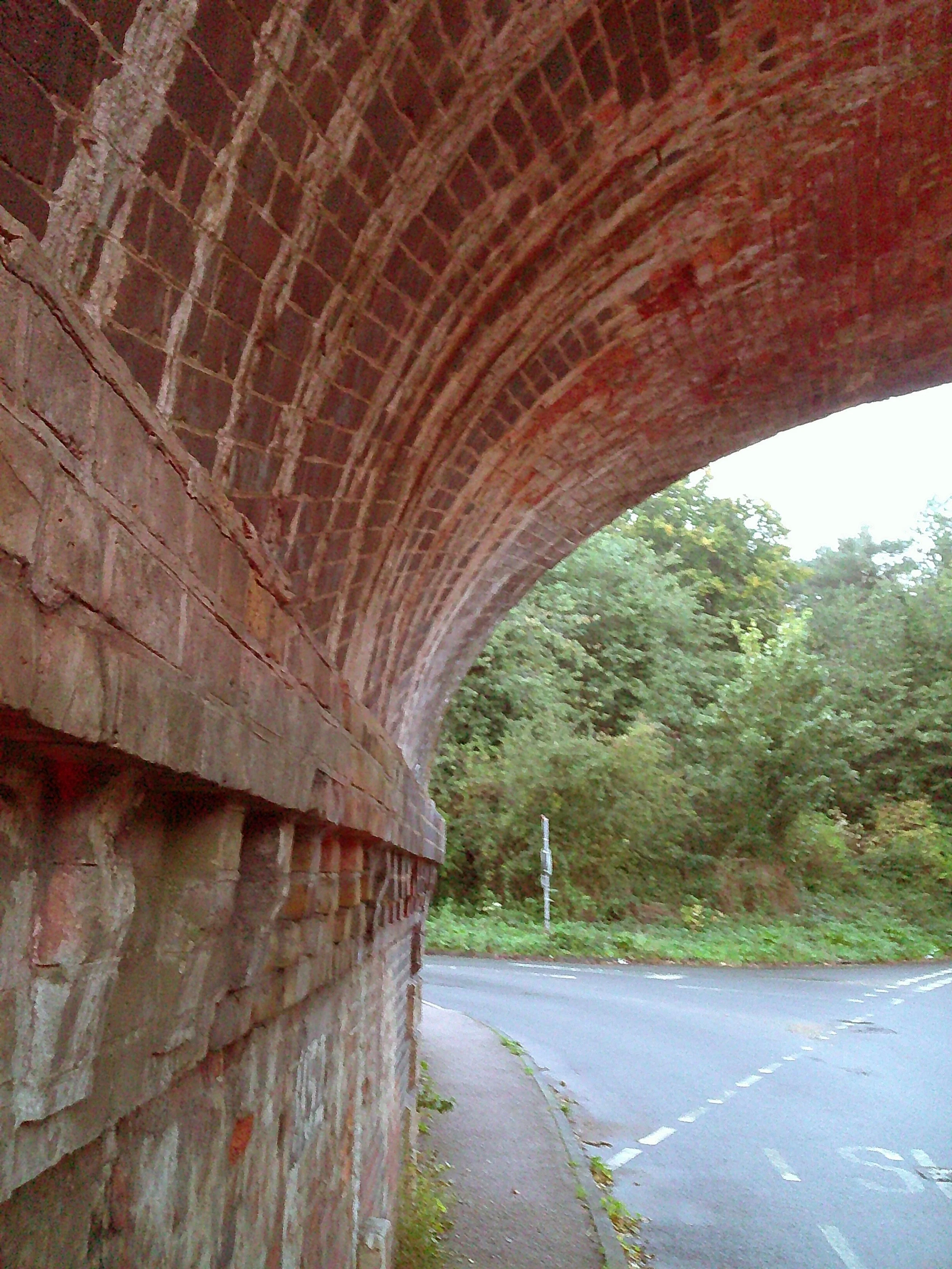 DSCF0041.JPG