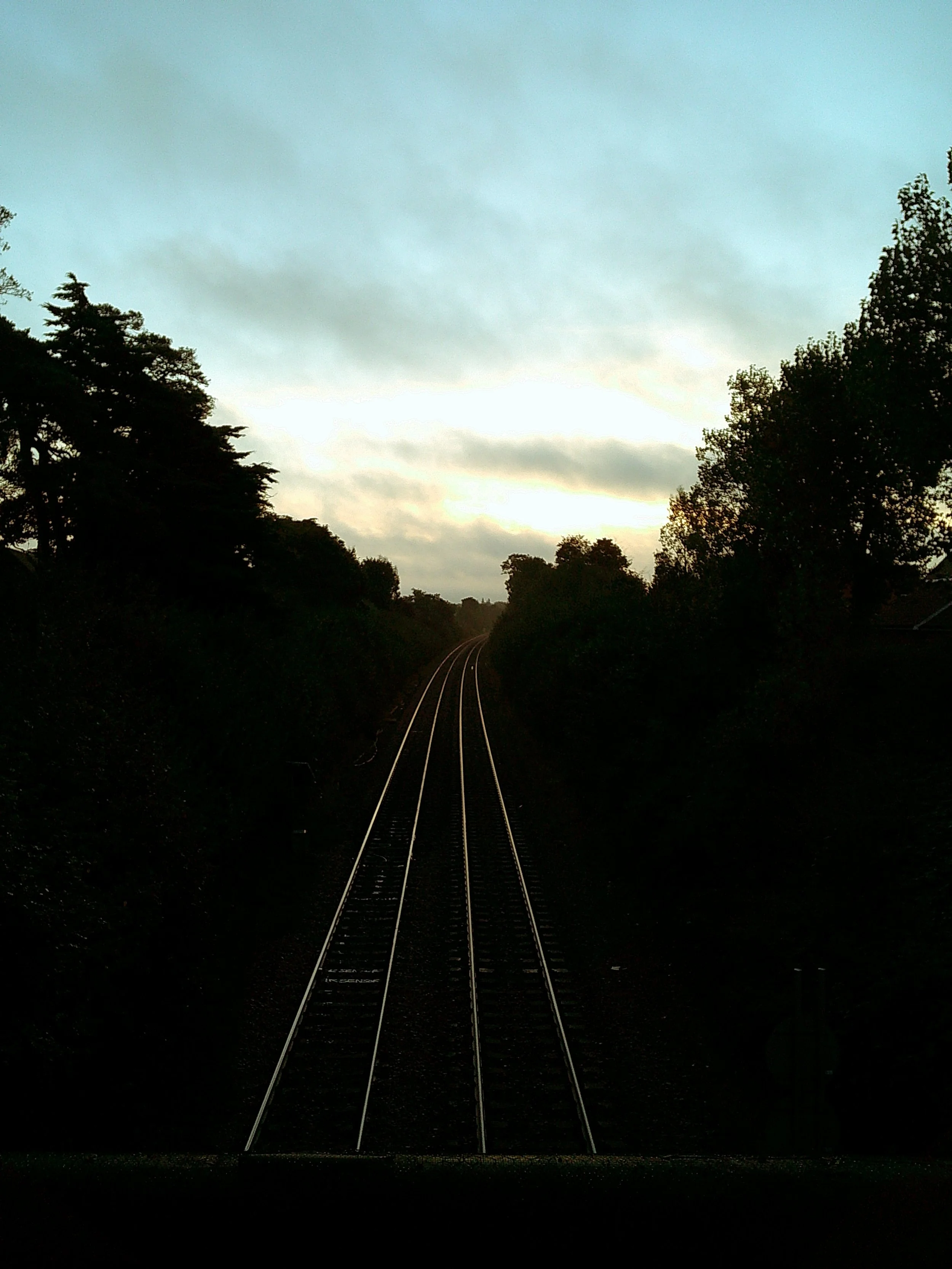 DSCF0049.JPG