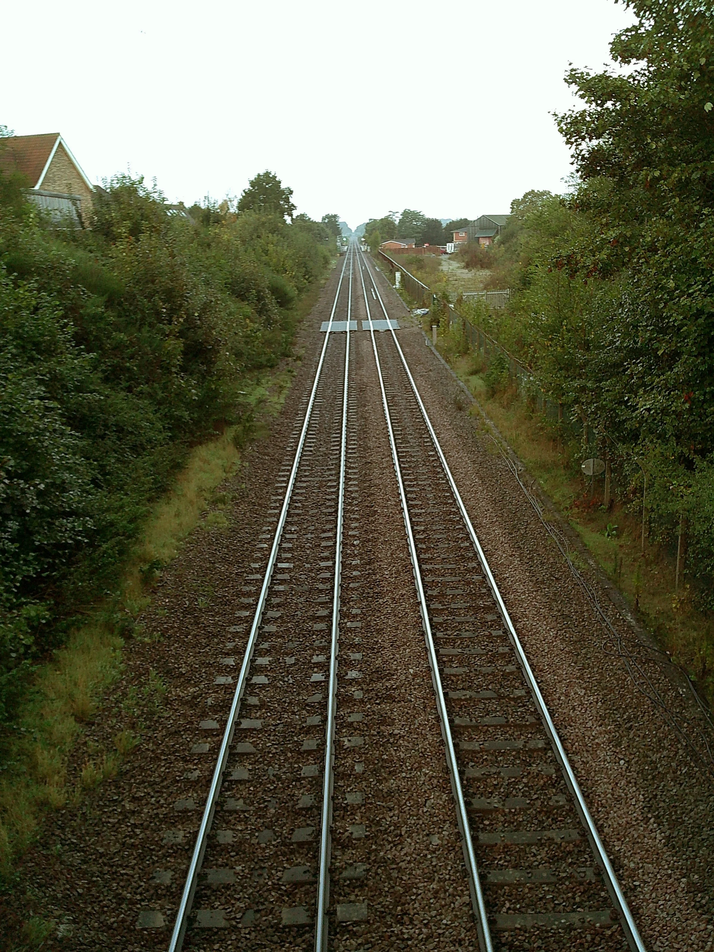 DSCF0050.JPG