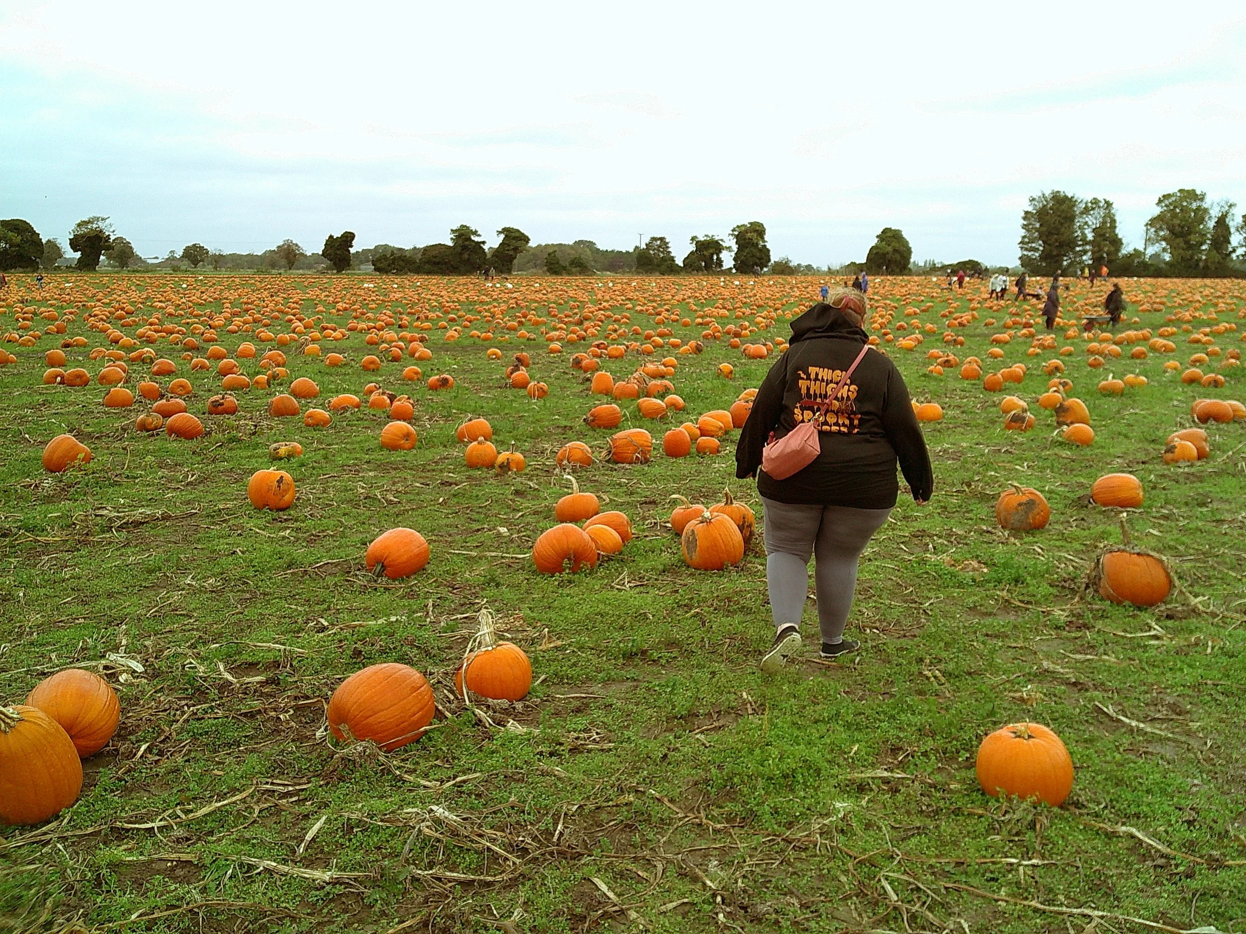 DSCF0095.JPG