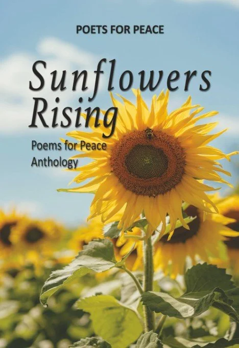 sunflowersrisingcover.jpg