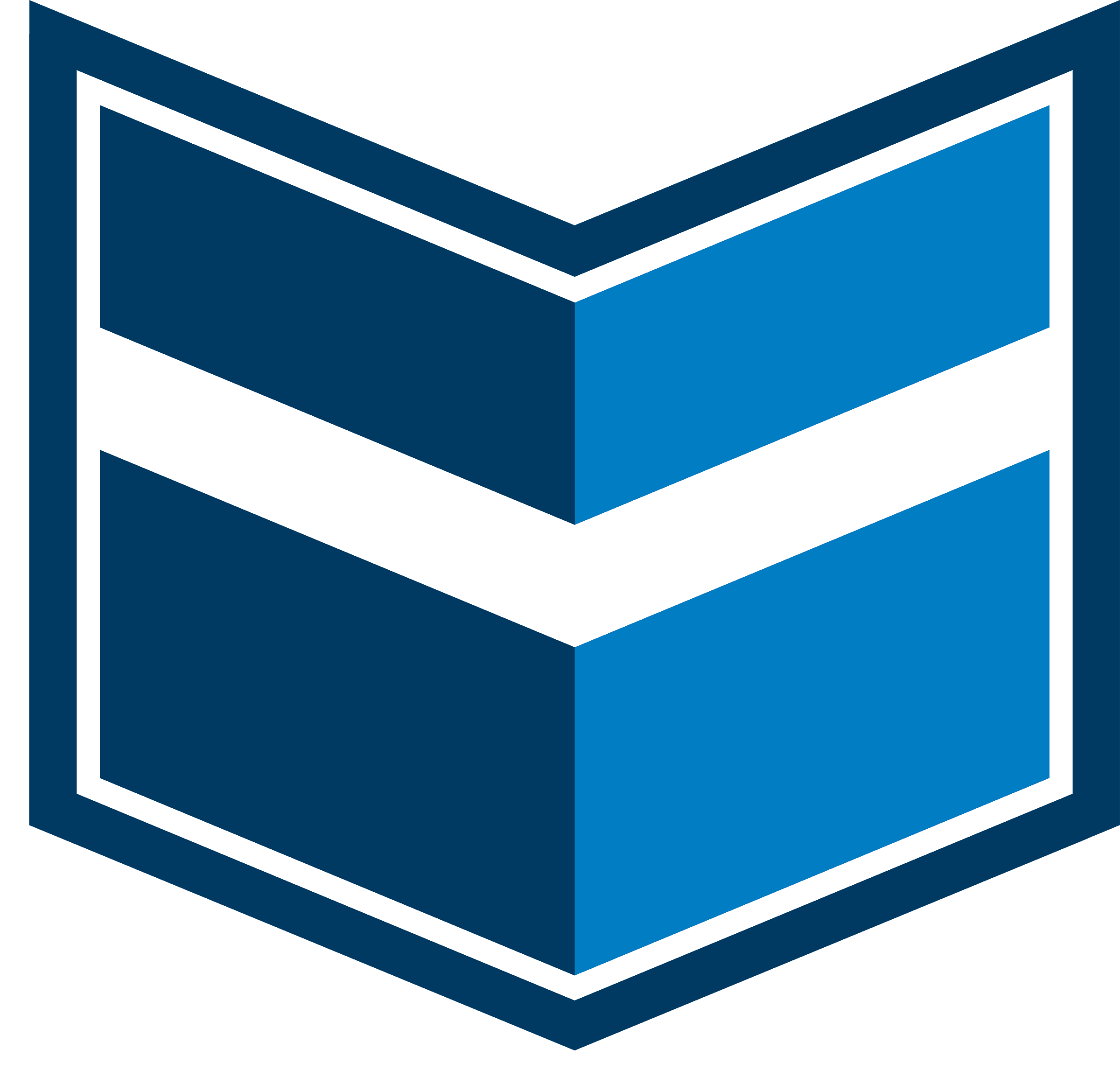 FMRT SHIELD PNG.png