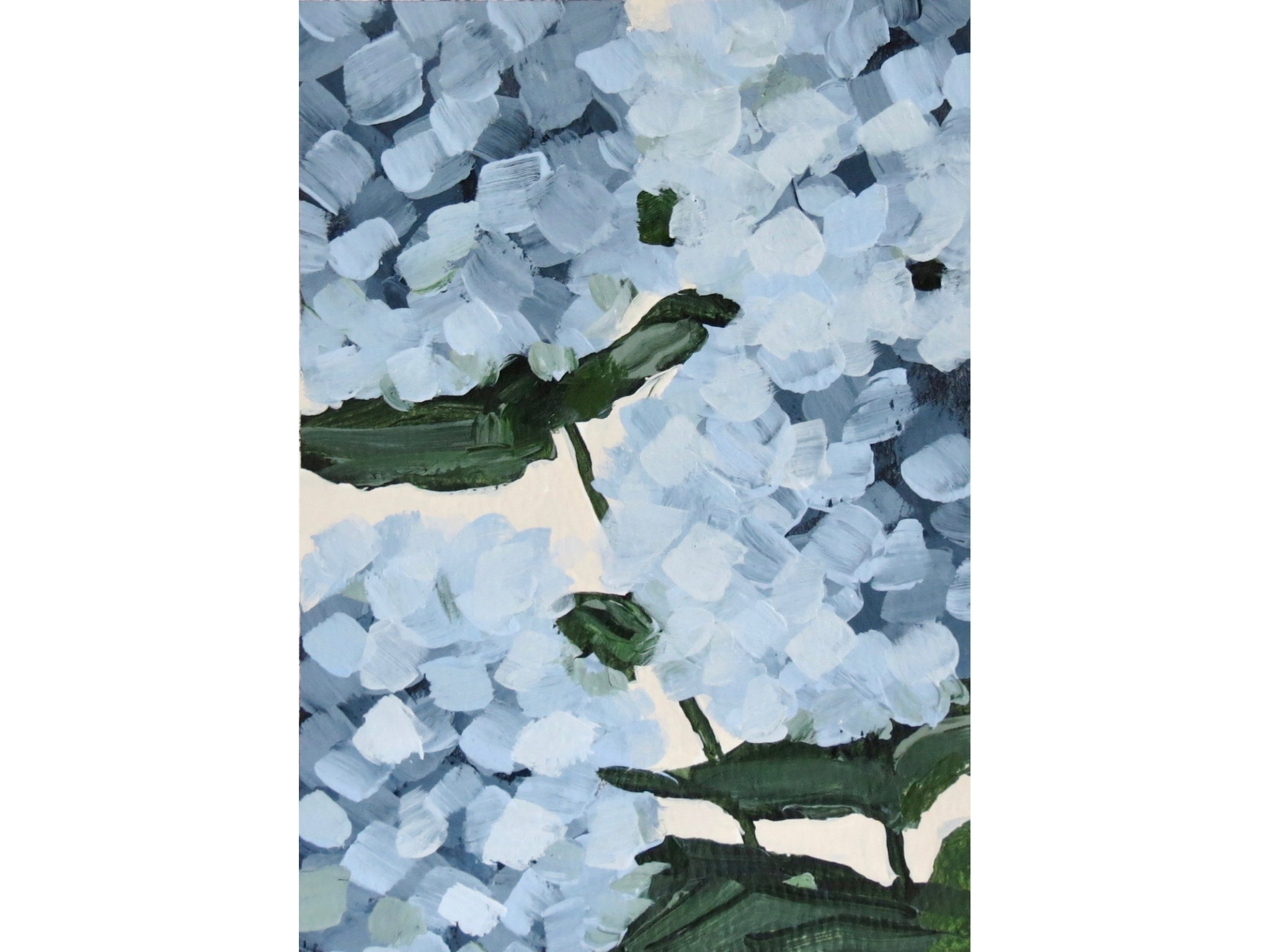 "Blue Hydrangeas" Print
