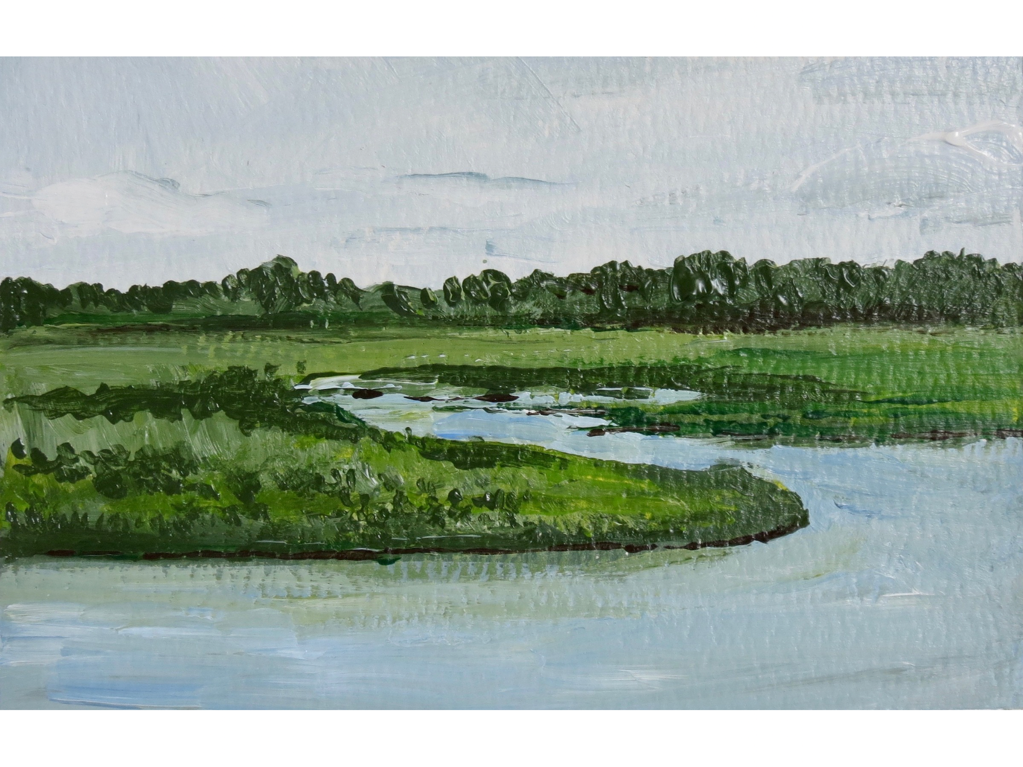 "Salt Marsh I" Print