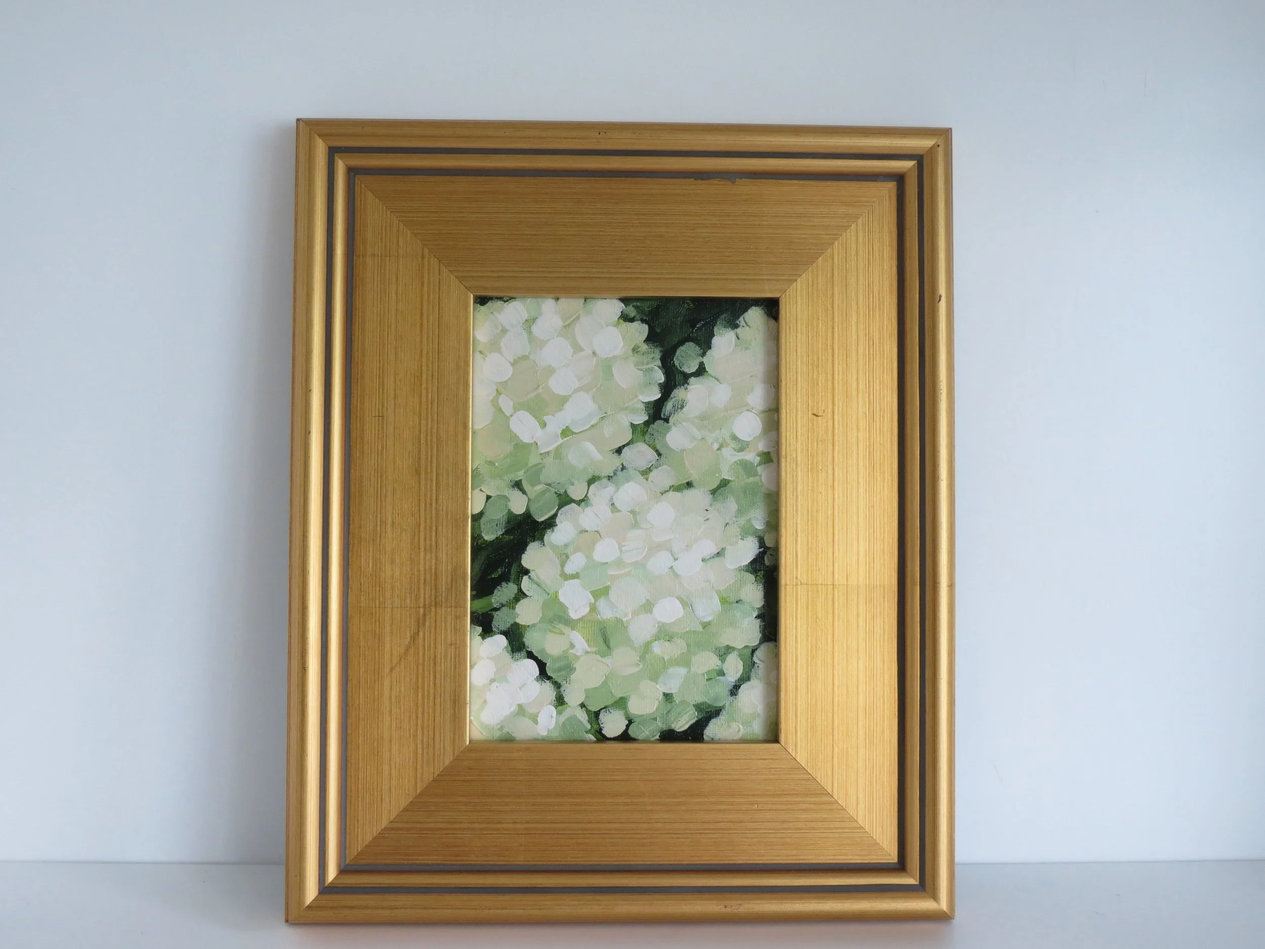 “Limelight Hydrangeas"