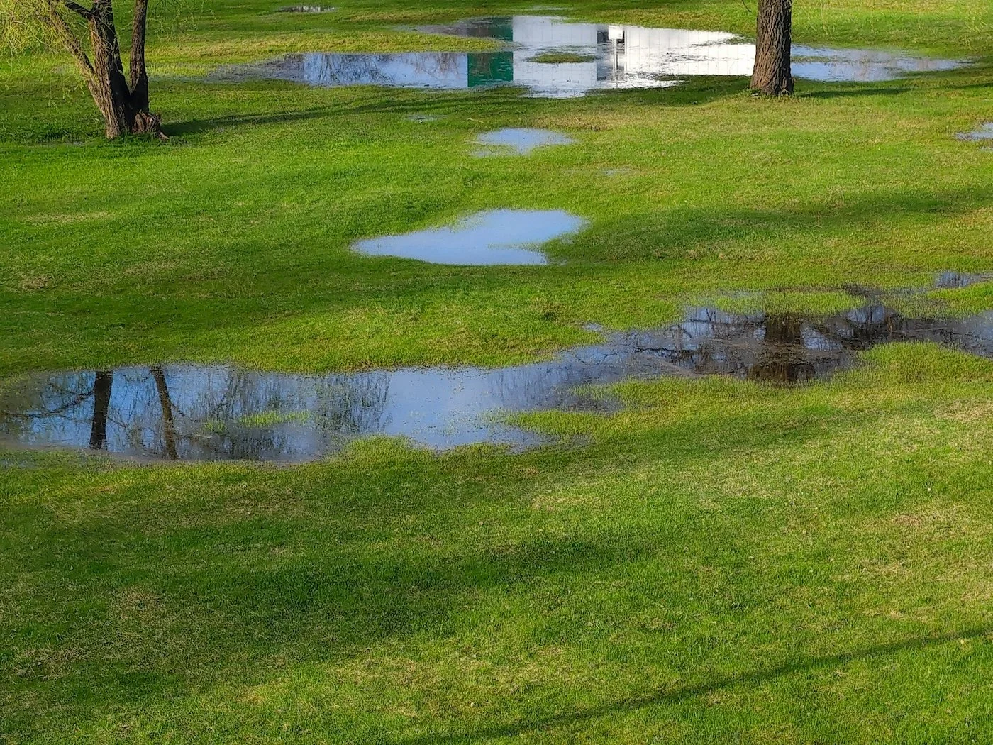 why is there standing water over my drain field