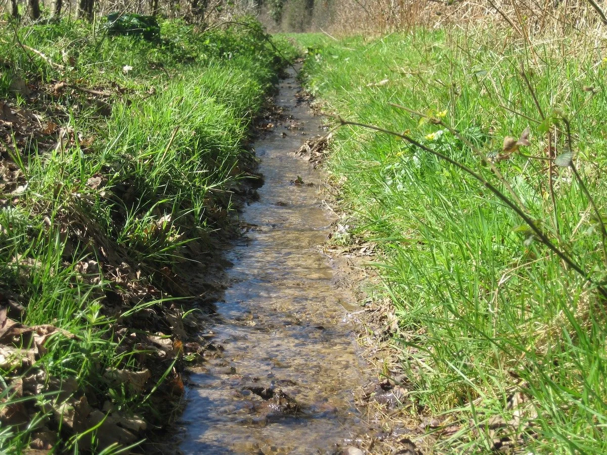 what happens if you skip septic pumping