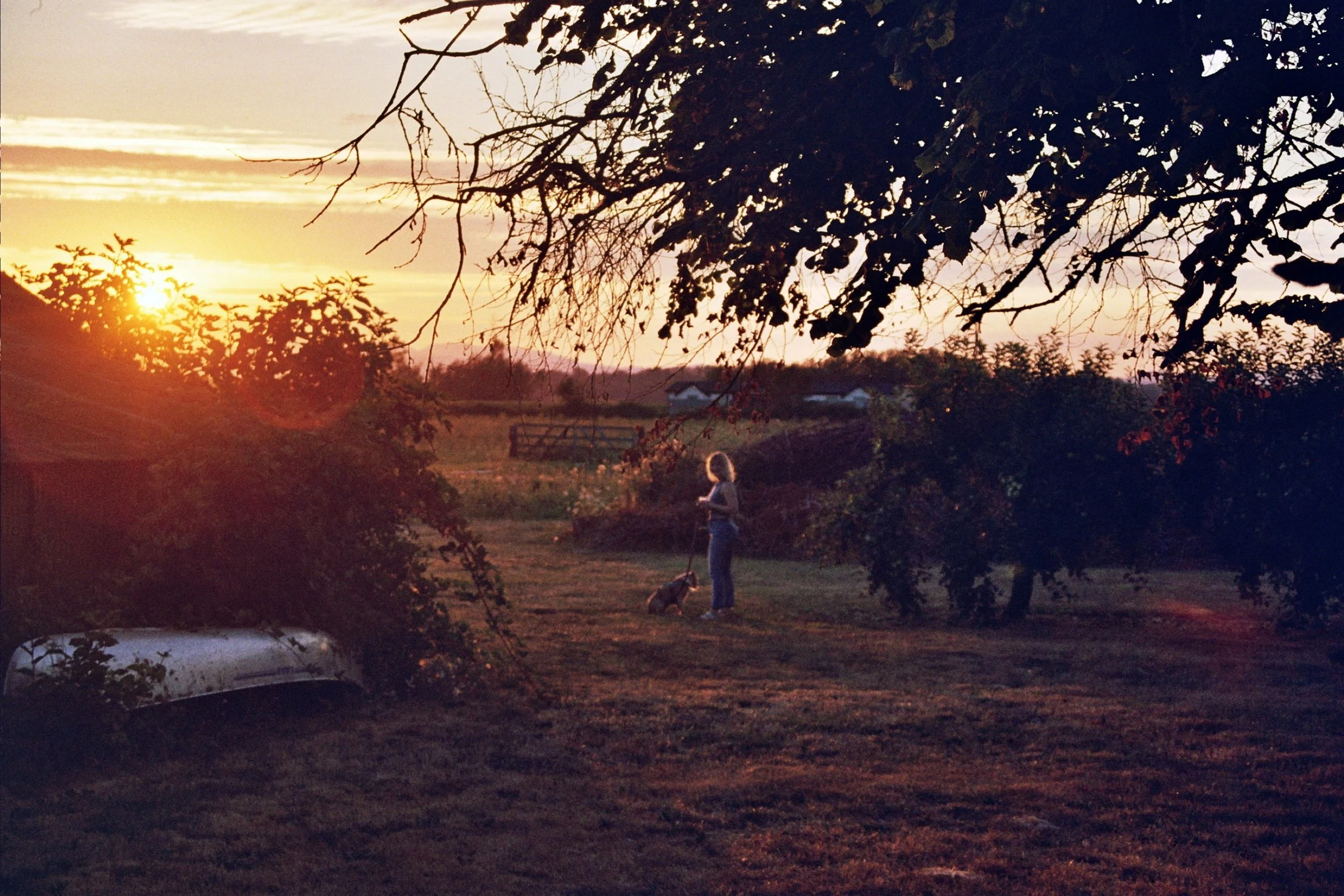 Erin Shetron standing in a field at sunset with her dog