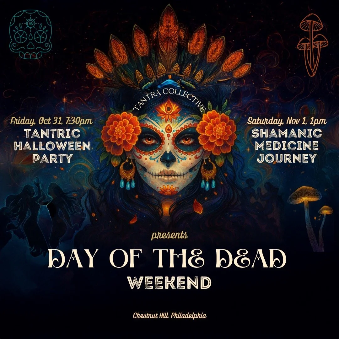 Shamanic Medicine Journey
