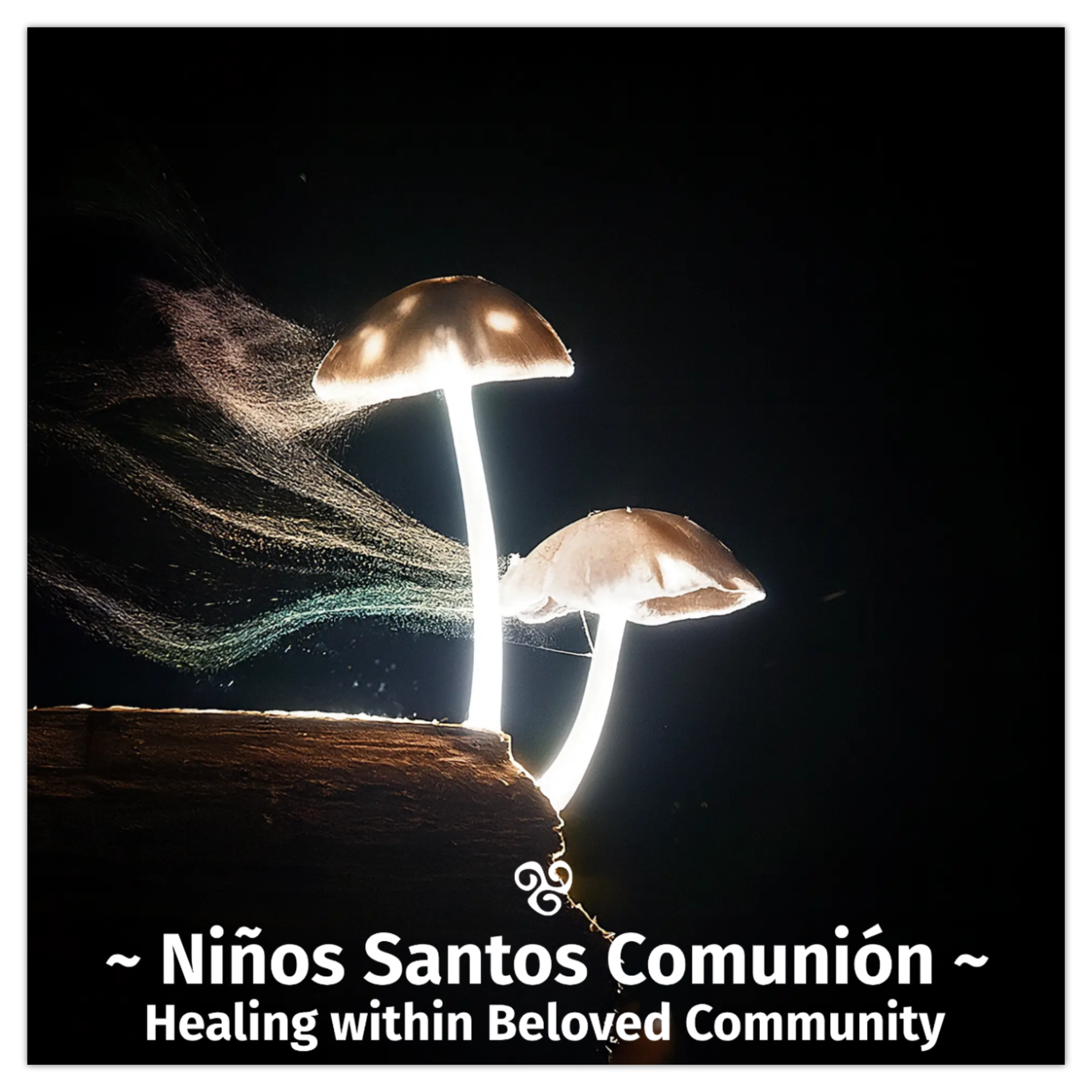 Niños Santos Comunión