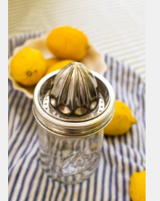 Stainless Steel Juicer - Wide Mouth