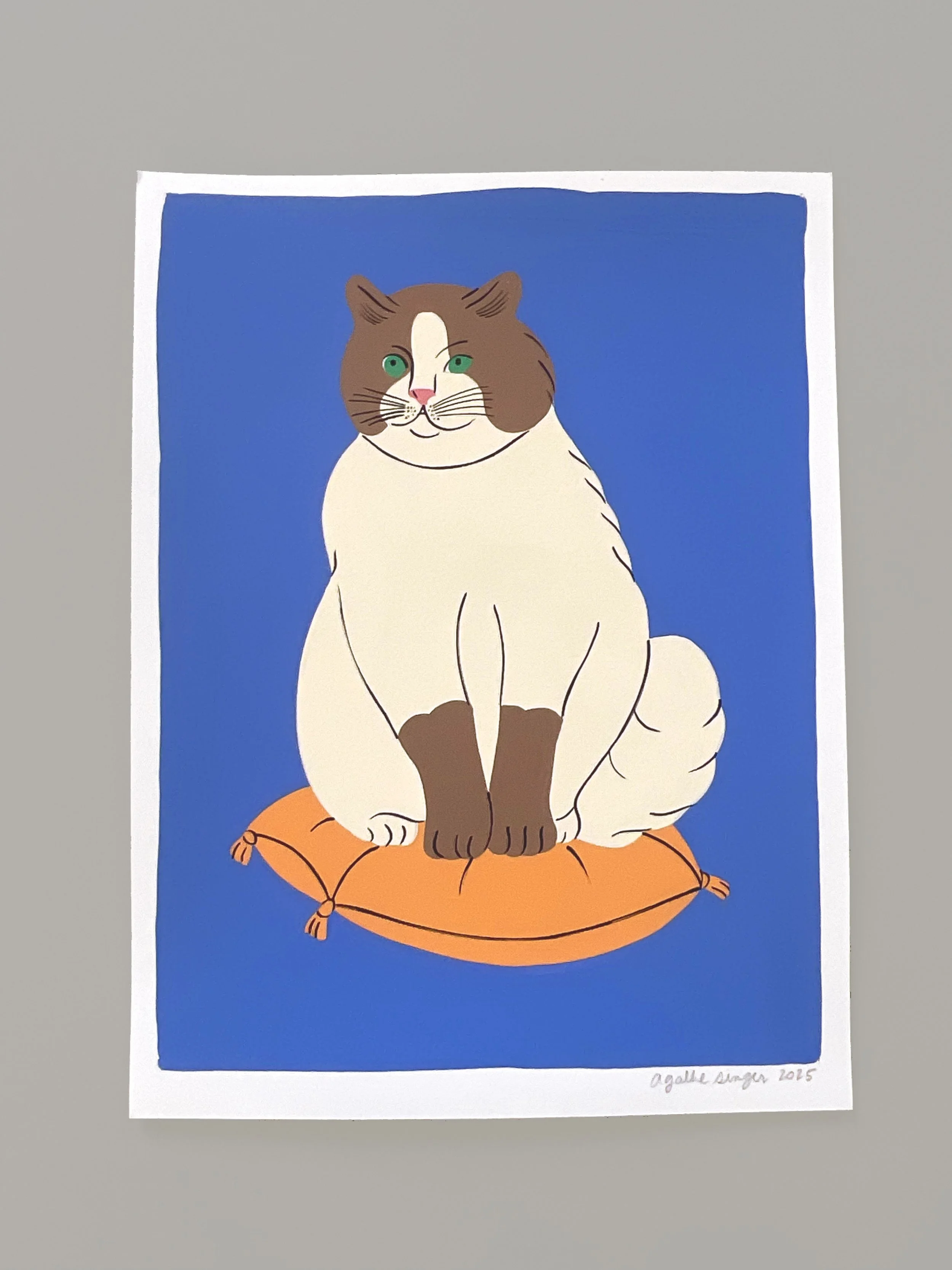 Ragdoll