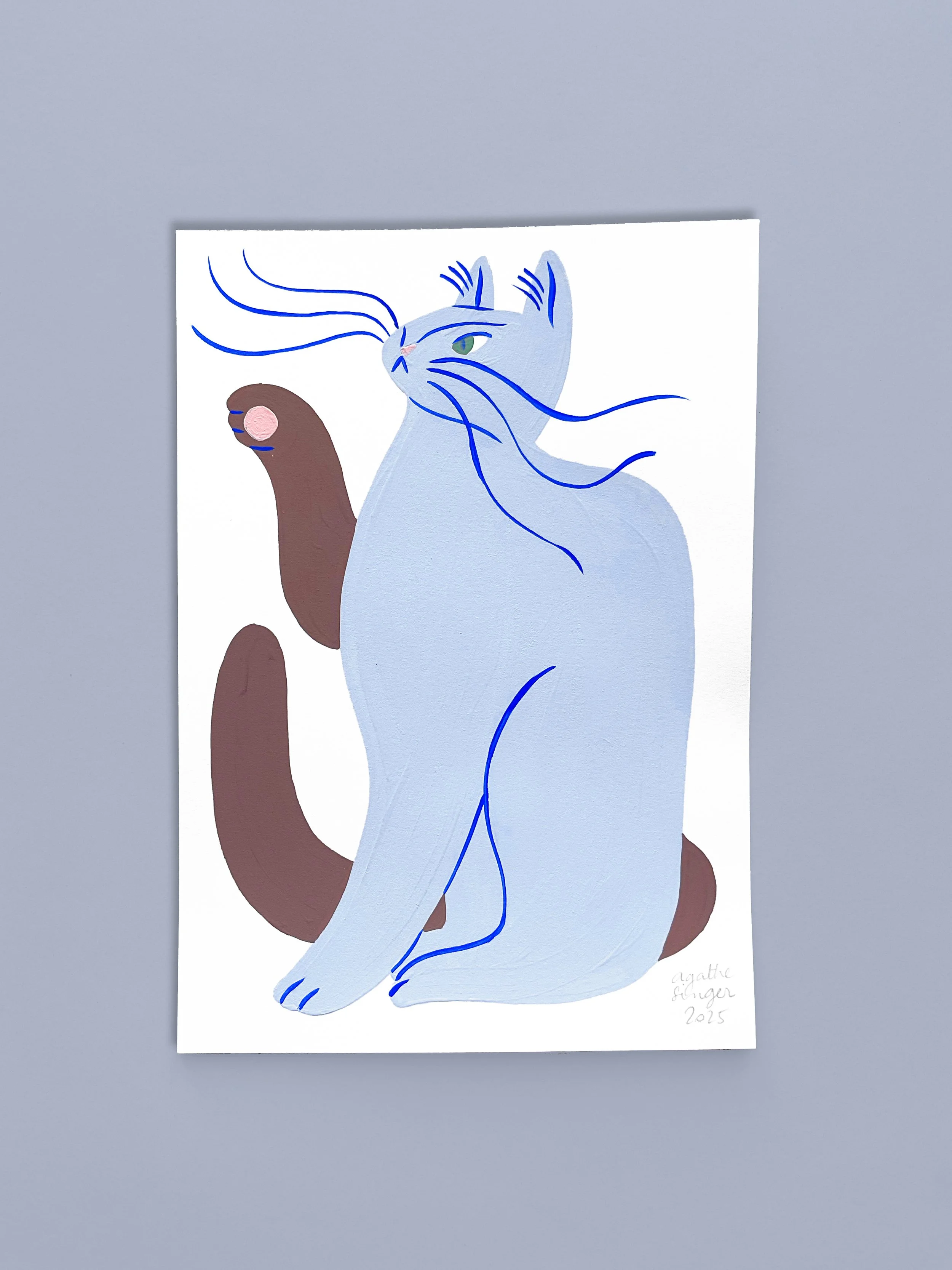 Midi chat gris brun