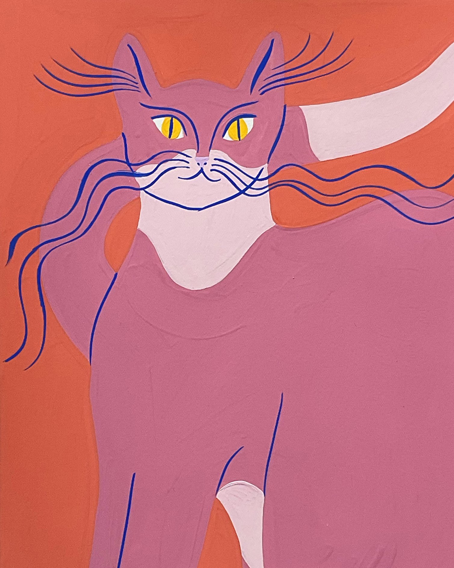 chat-fond-corail copie.jpg