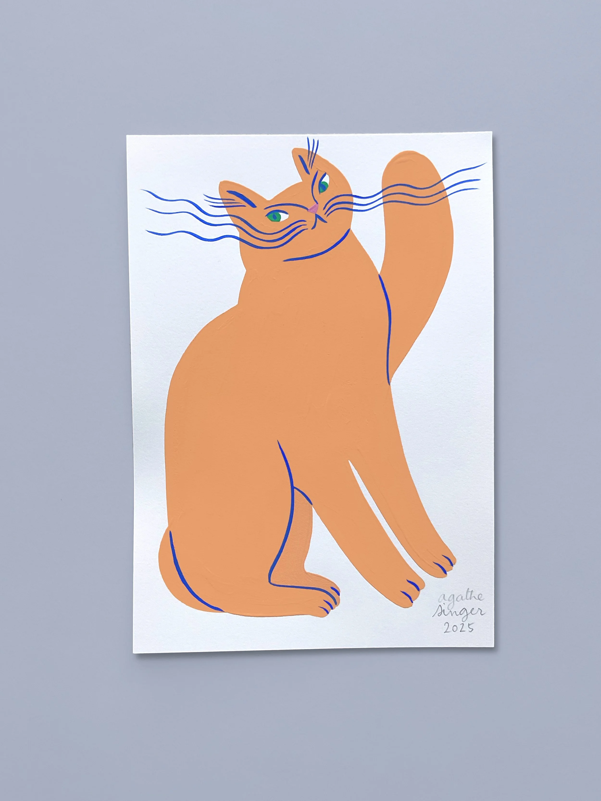 Midi chat roux