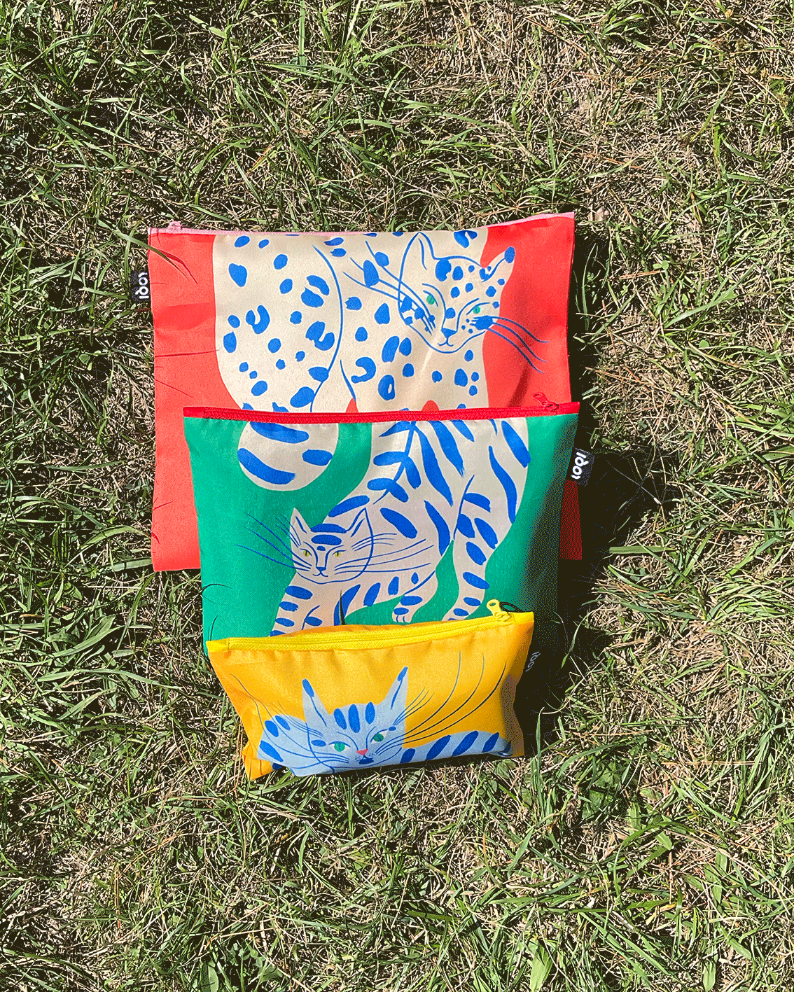montage-pochettes2.gif