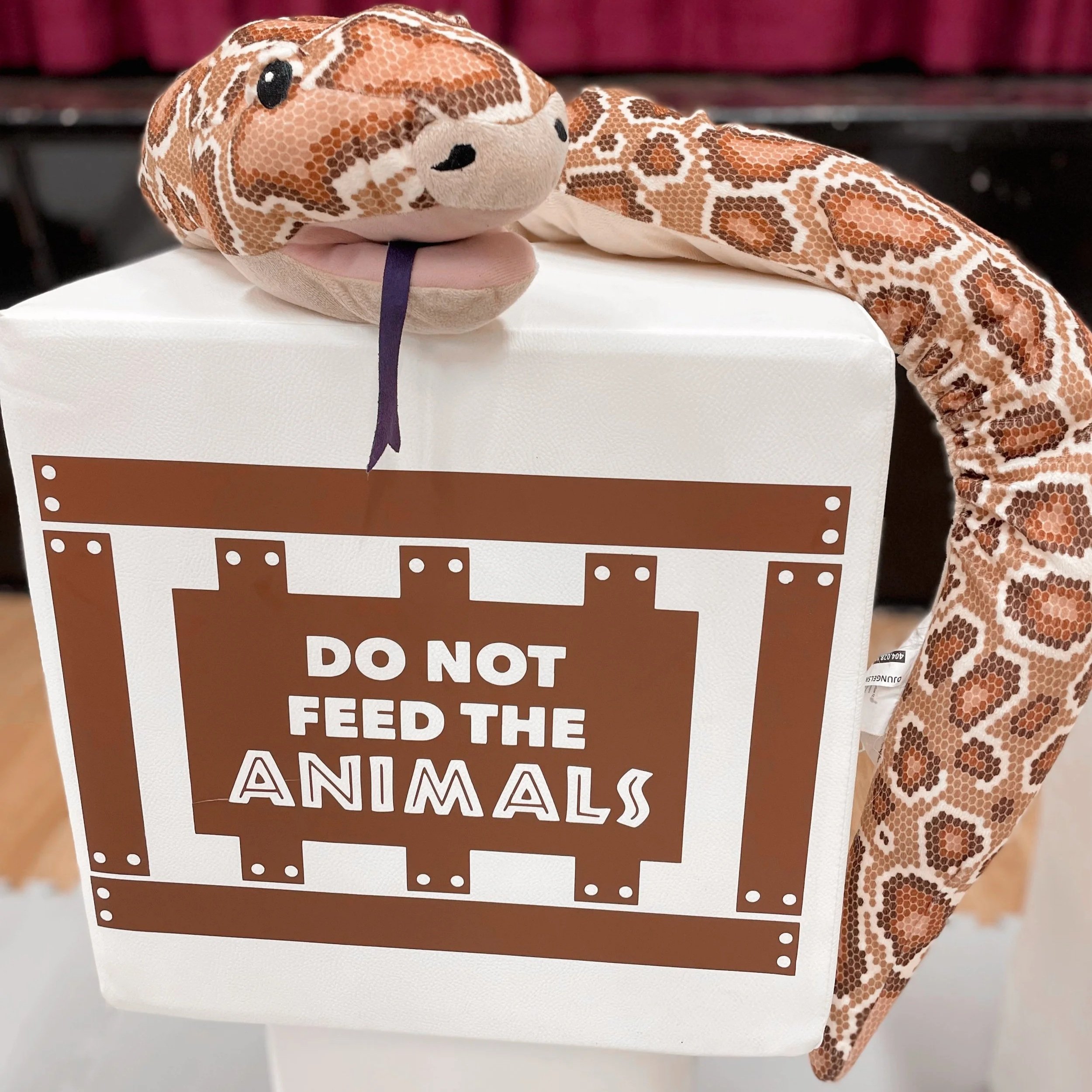 Wild One Soft Play Hire